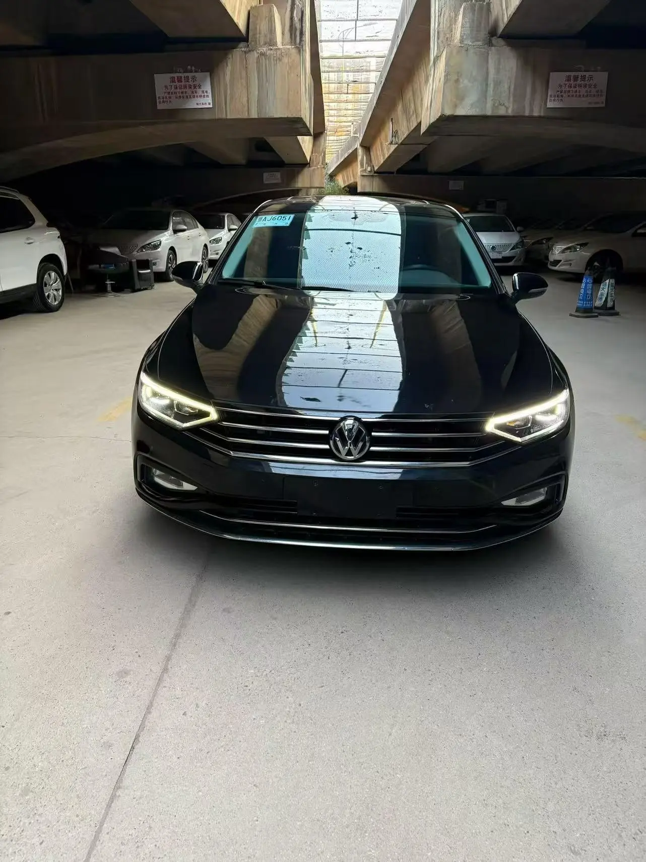 Volkswagen Magotan  из Китая