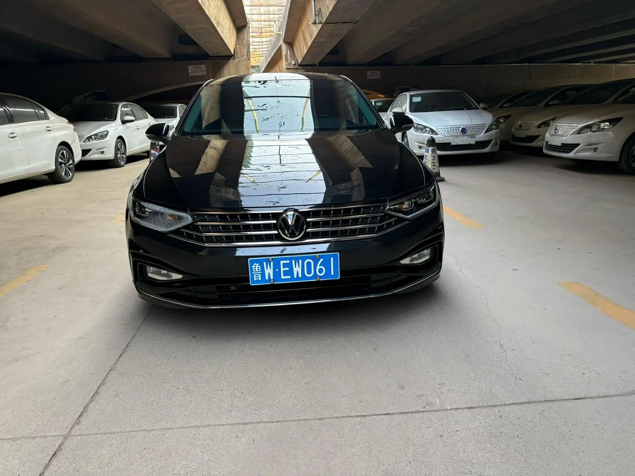 Volkswagen Magotan  из Китая