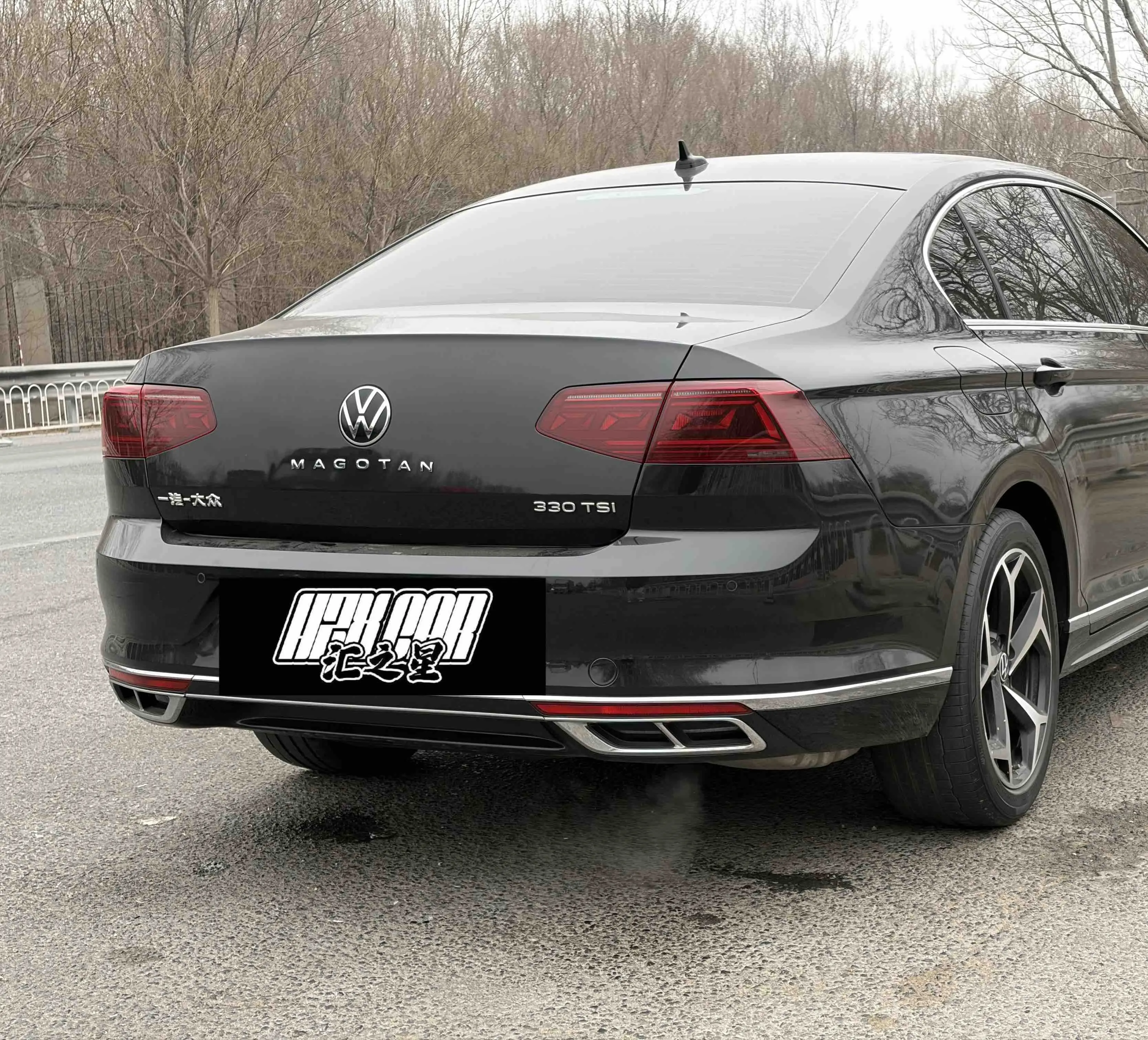 Volkswagen Magotan  из Китая