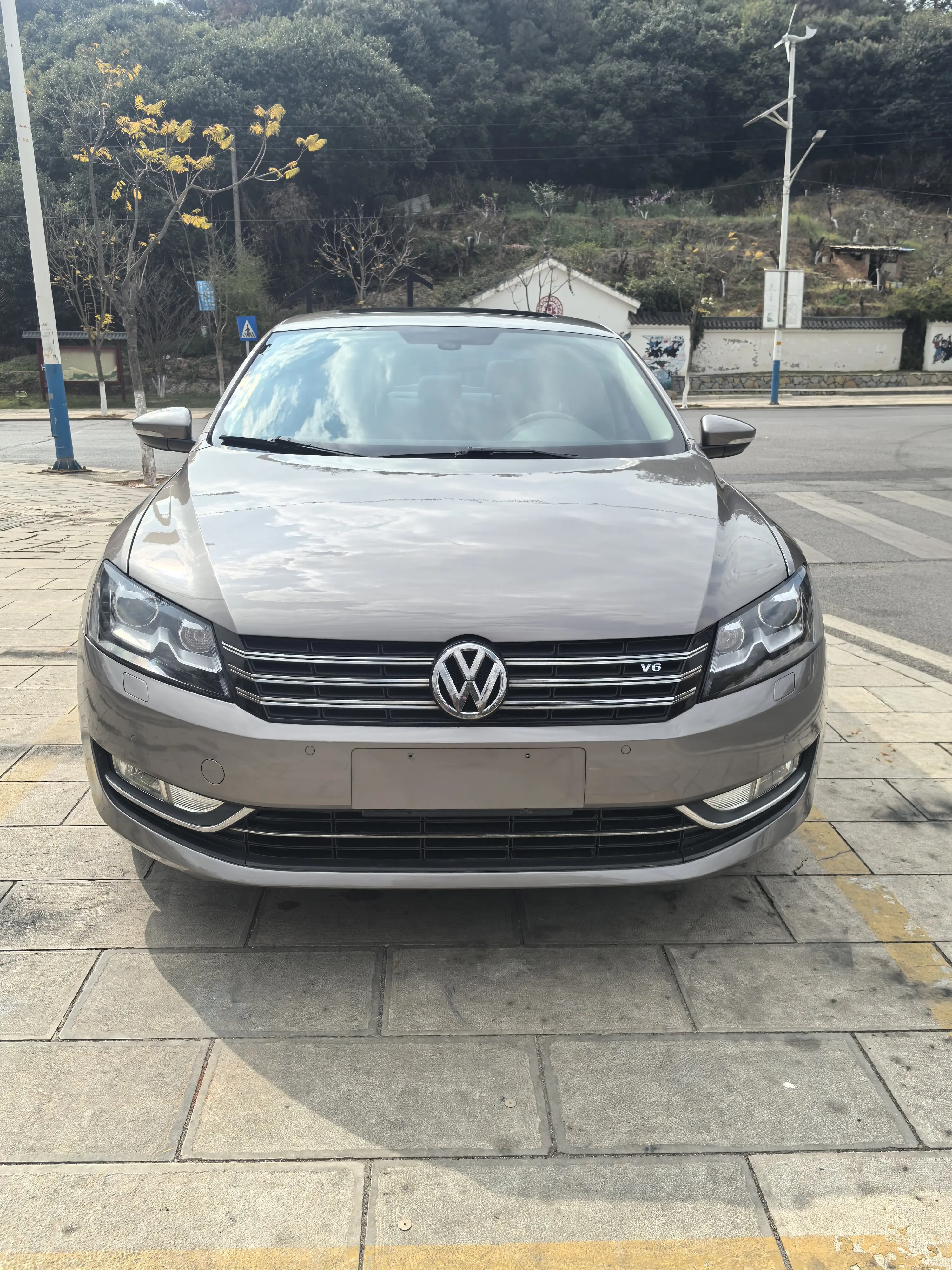 Volkswagen Passat  из Китая