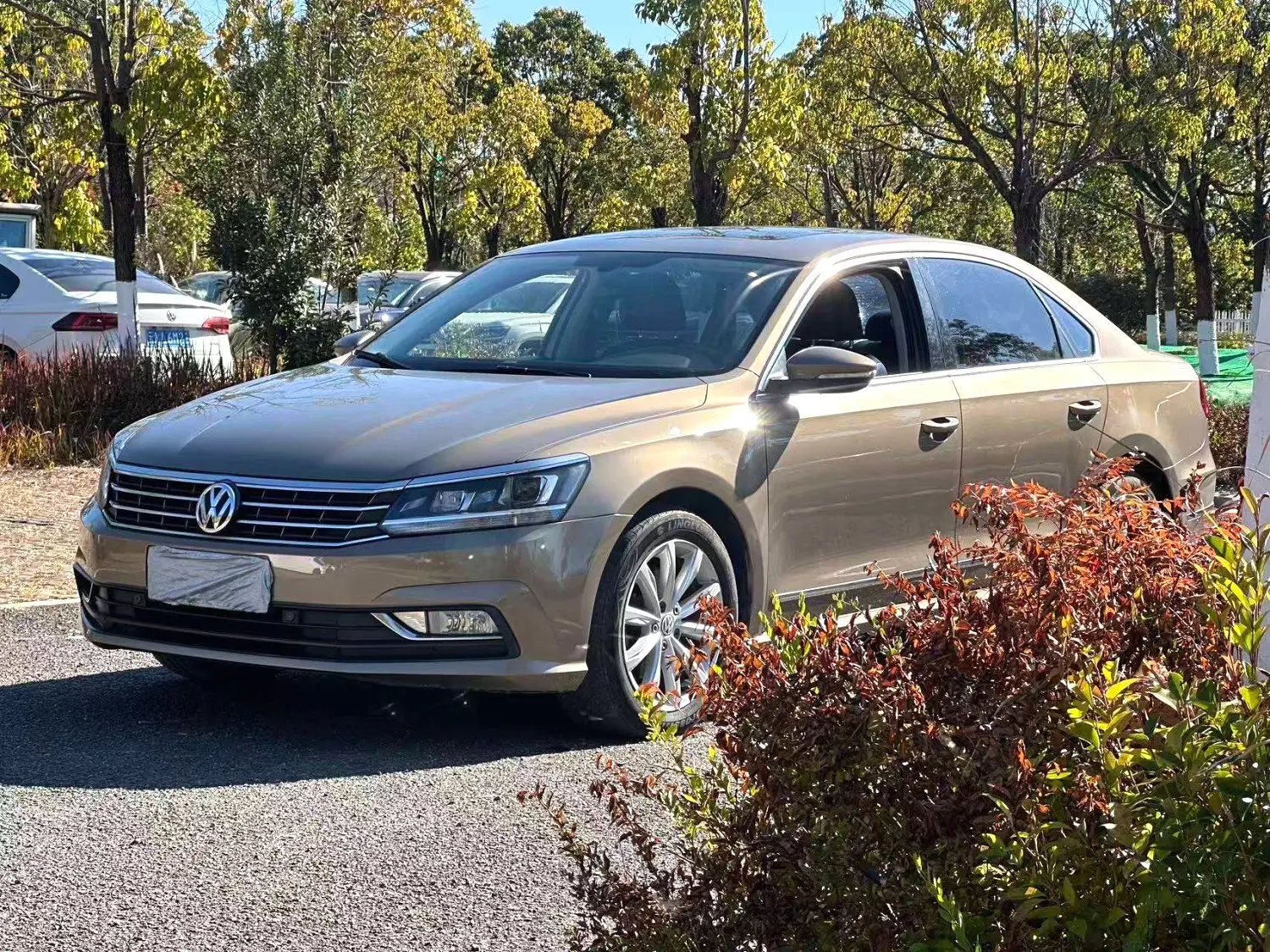 Volkswagen Passat  из Китая