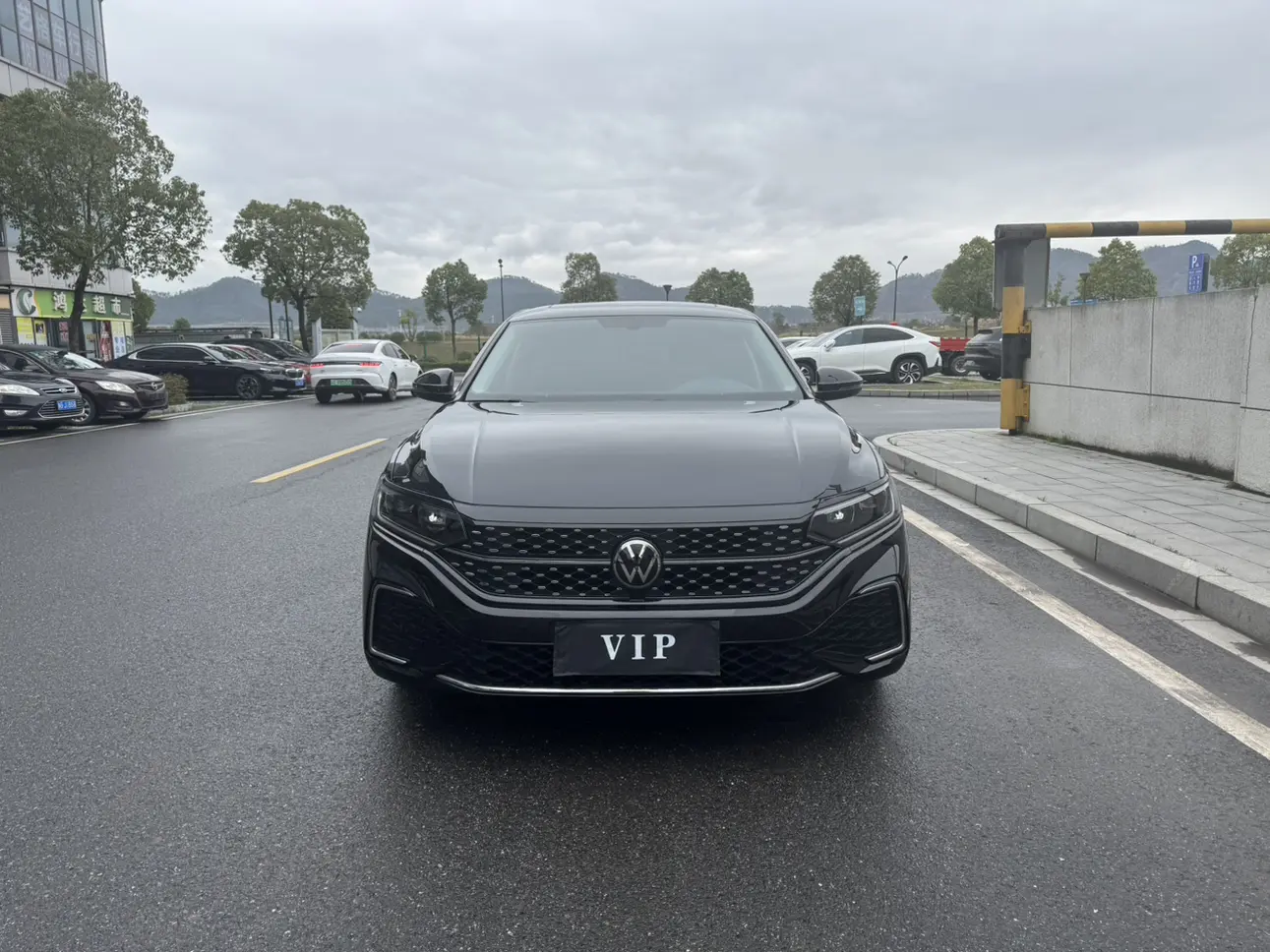 Volkswagen Passat  из Китая