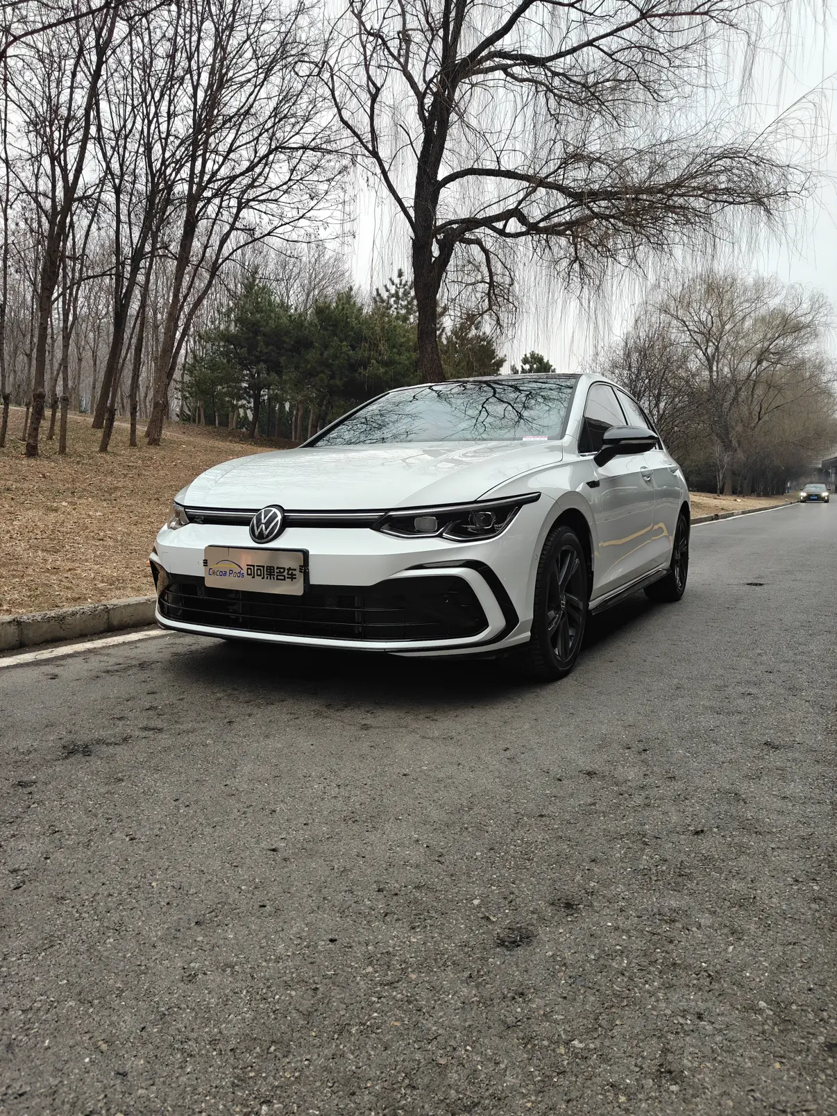 Volkswagen Golf  из Китая