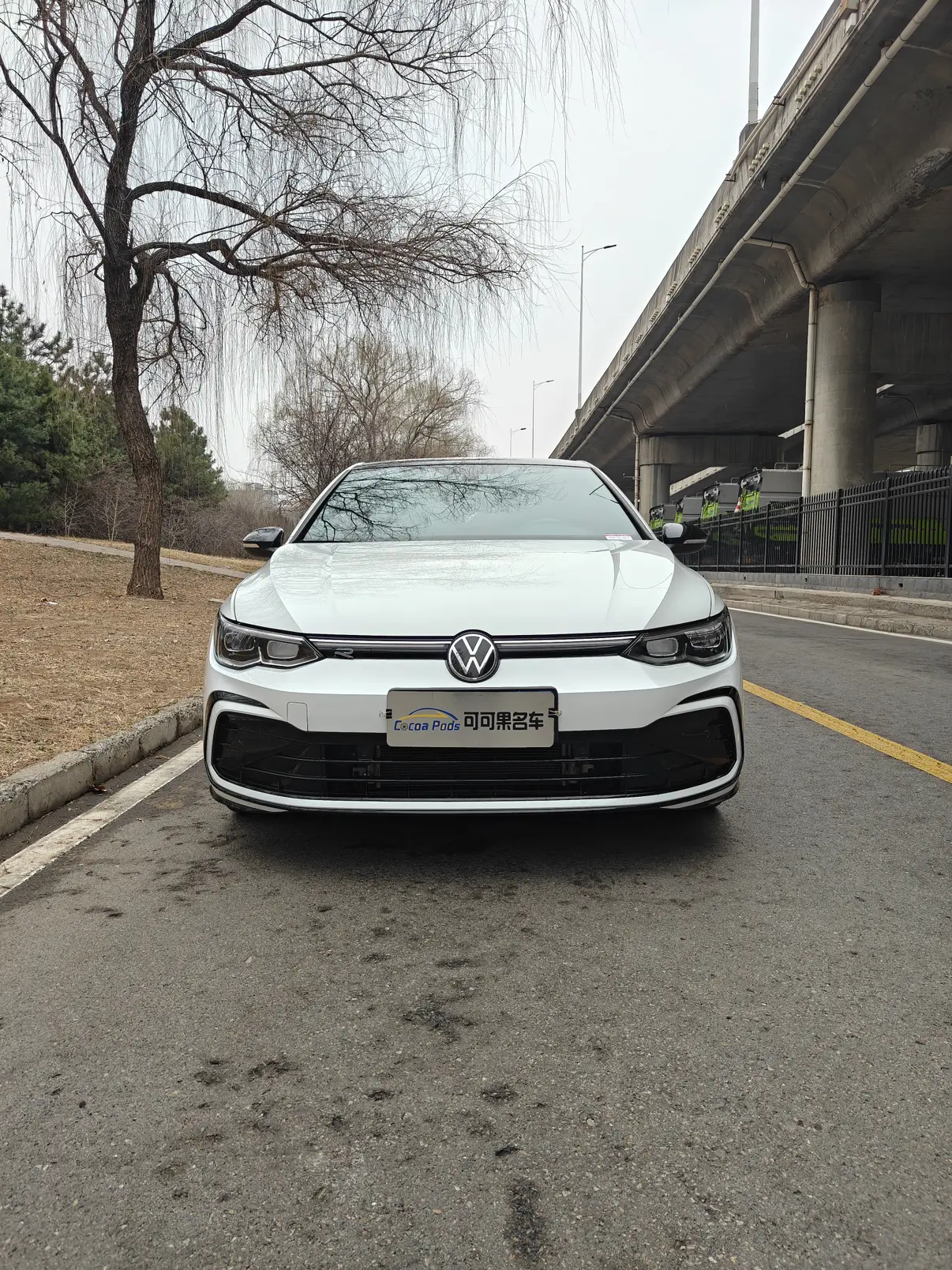 Volkswagen Golf  из Китая