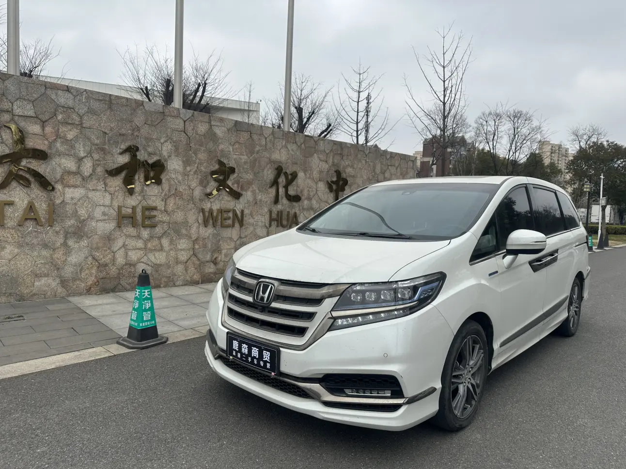 Honda Elysion (Alison)  из Китая