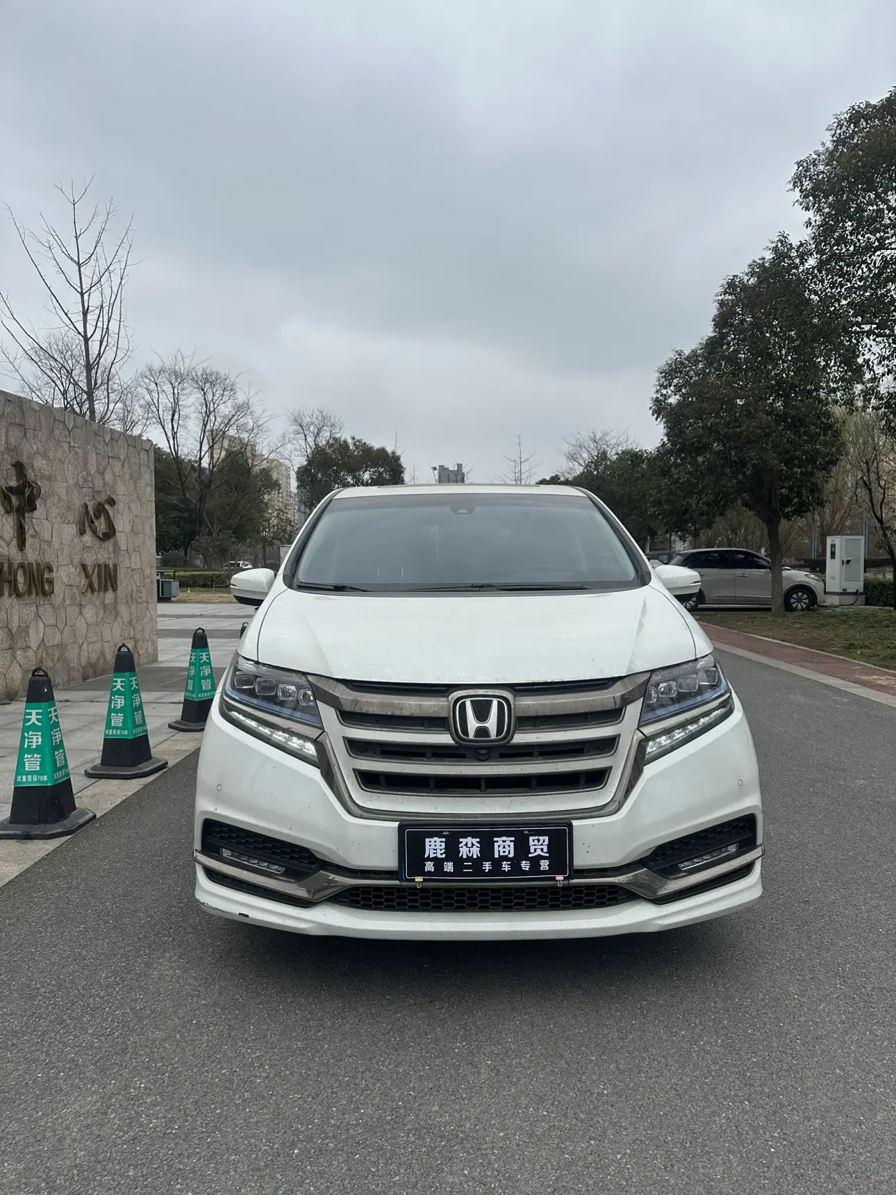 Honda Elysion (Alison)  из Китая