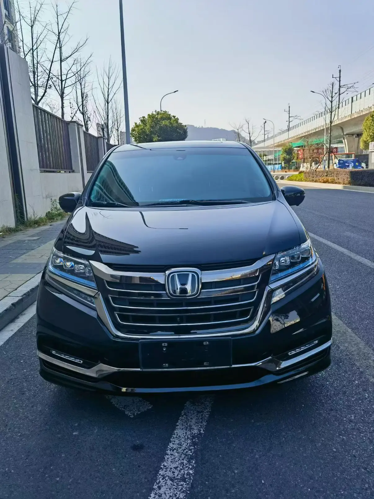 Honda Elysion (Alison)  из Китая