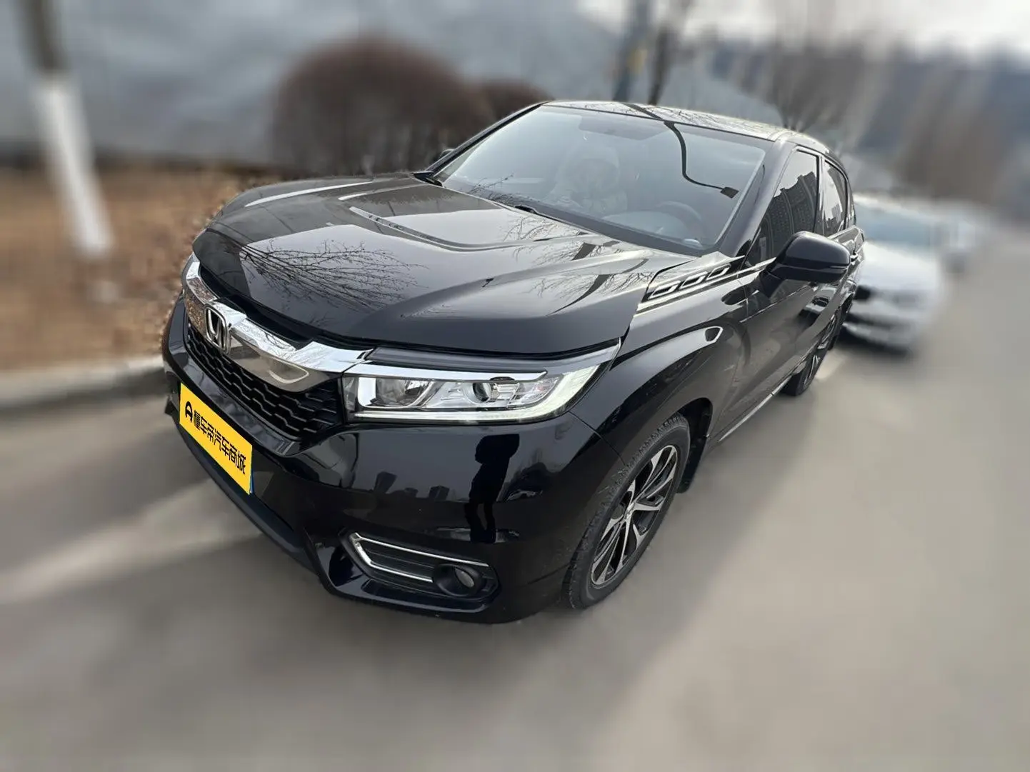 Honda Avancier (Crown Road)  из Китая