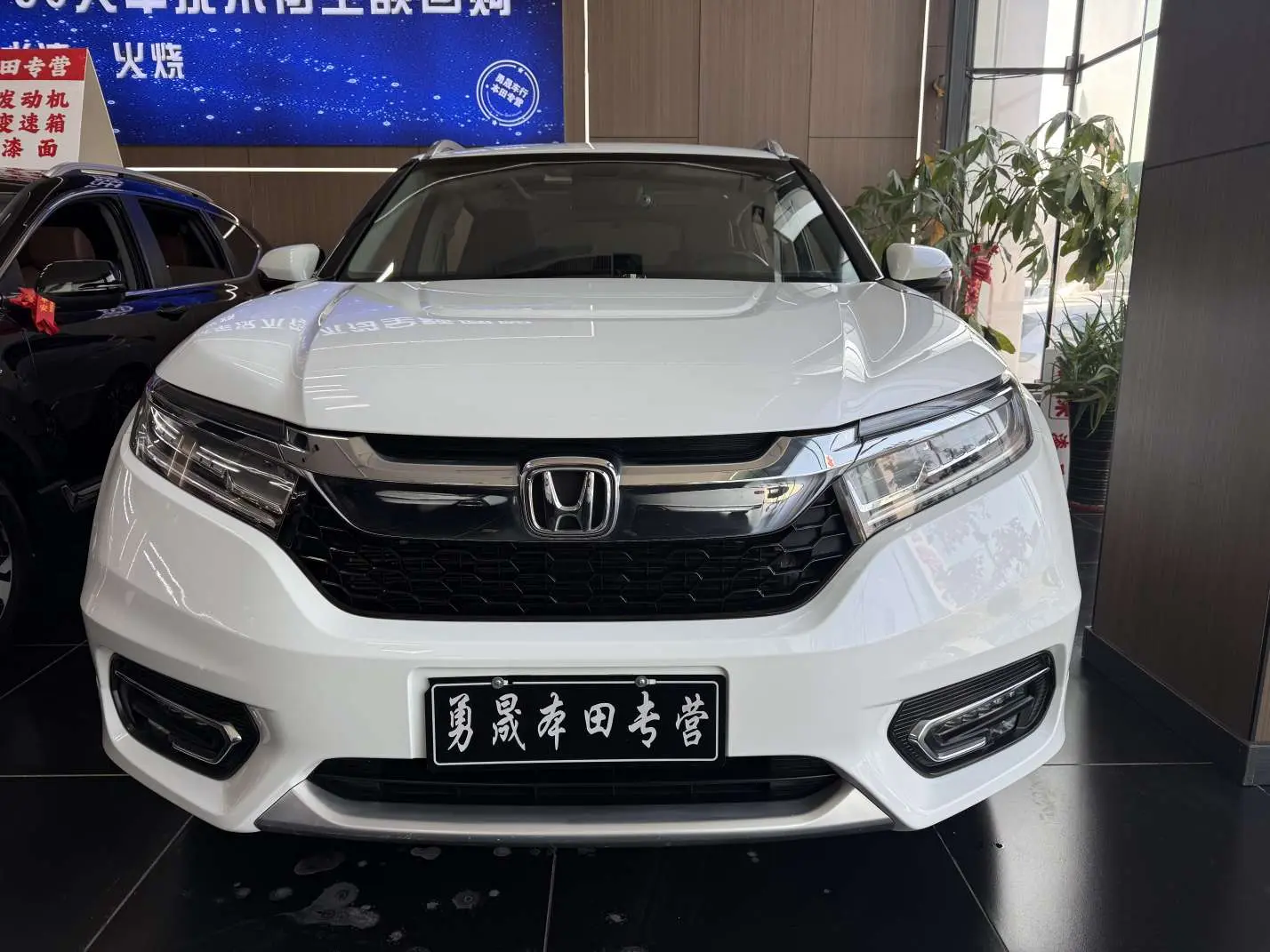 Honda Avancier (Crown Road)  из Китая