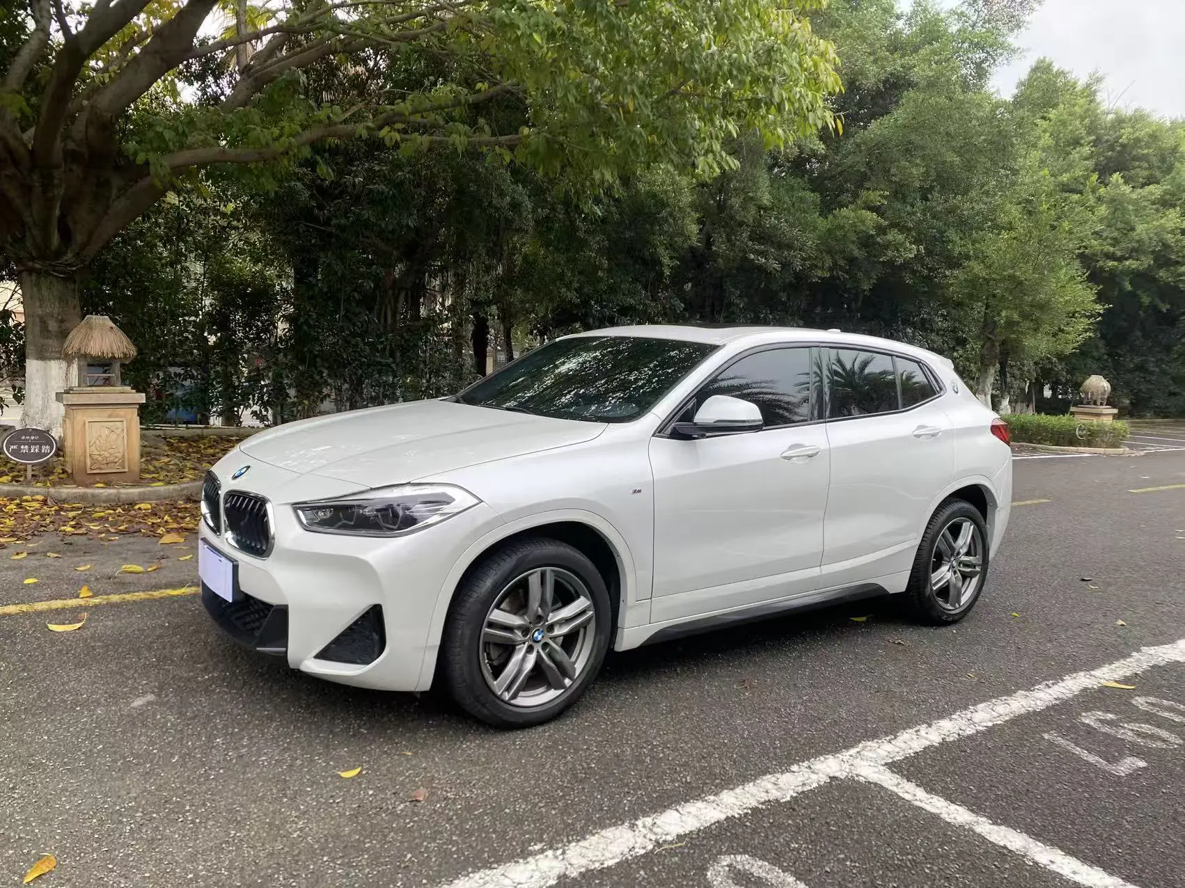 BMW X2