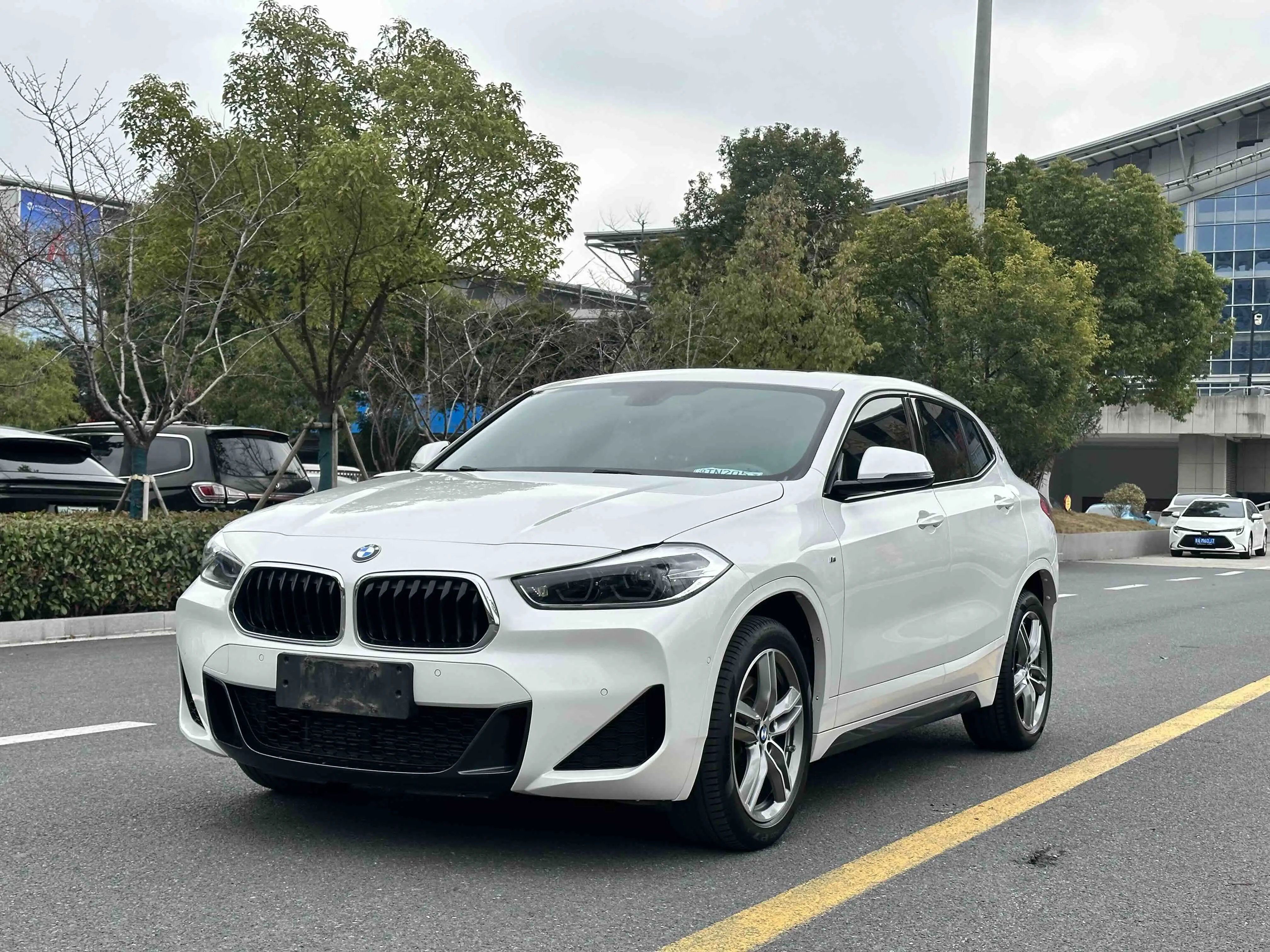 BMW X2