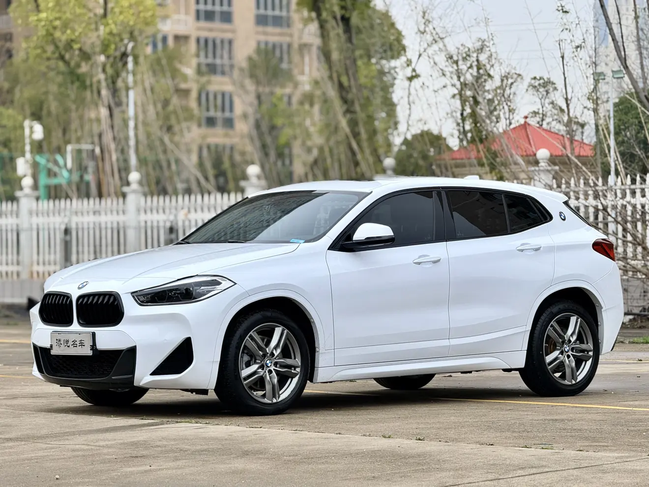 BMW X2
