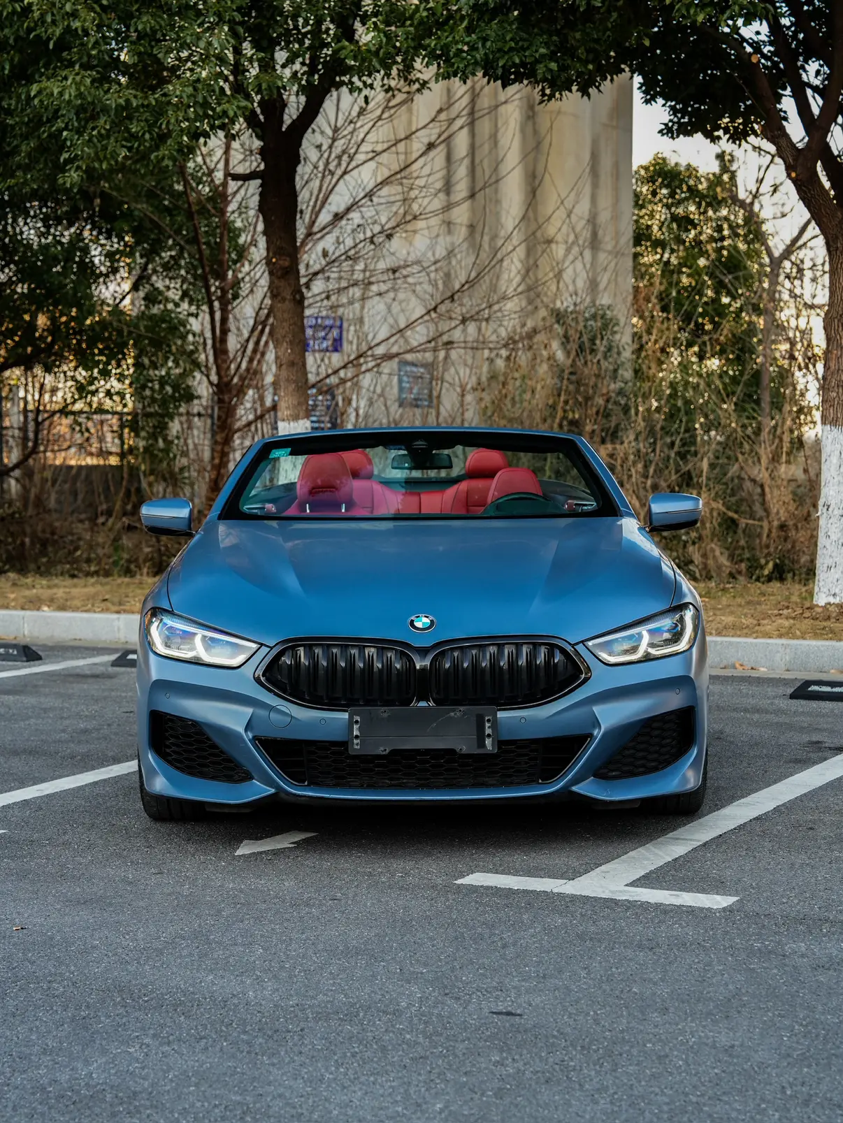 BMW 8 Series  из Китая