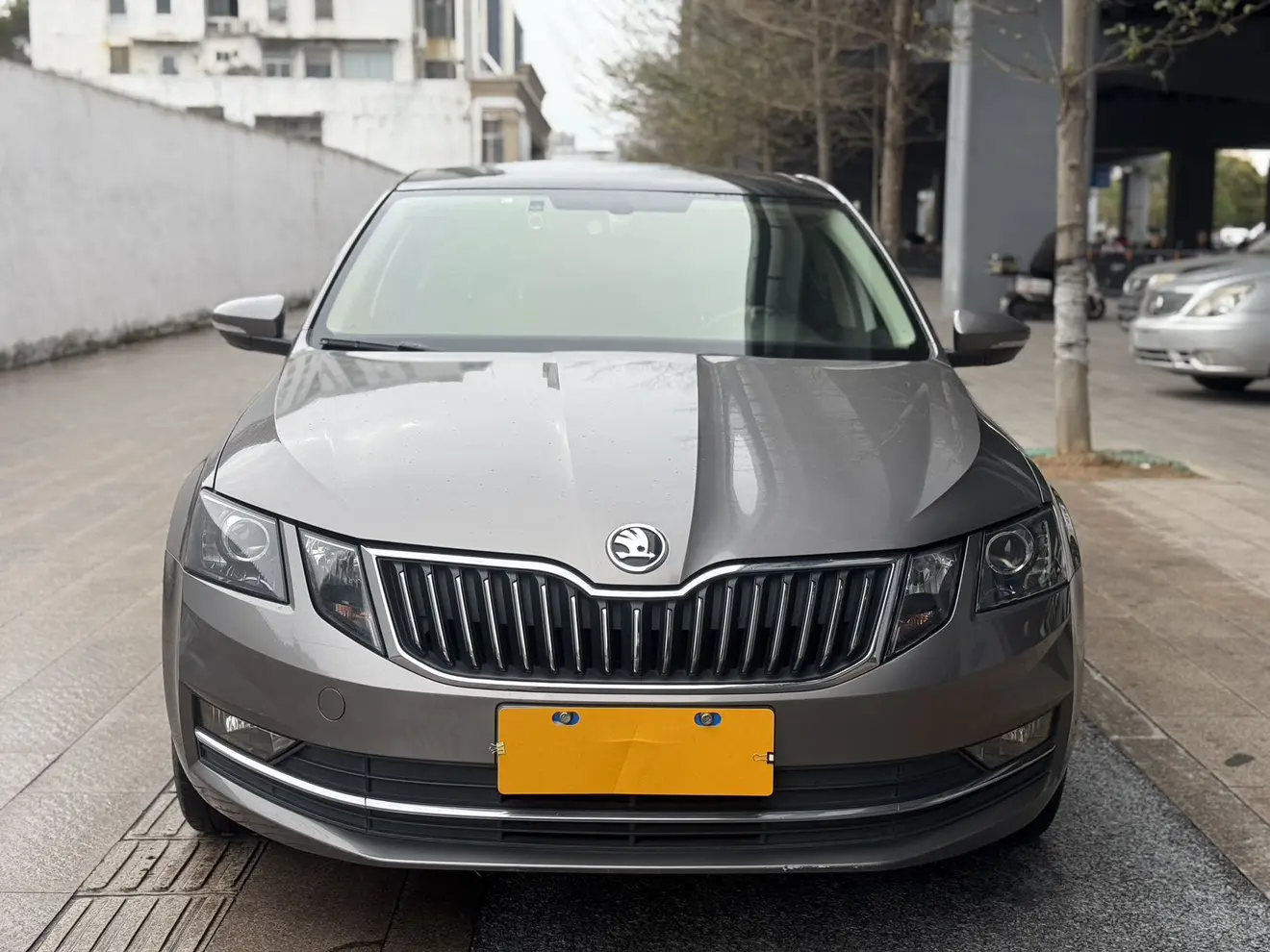 Skoda Octavia  из Китая