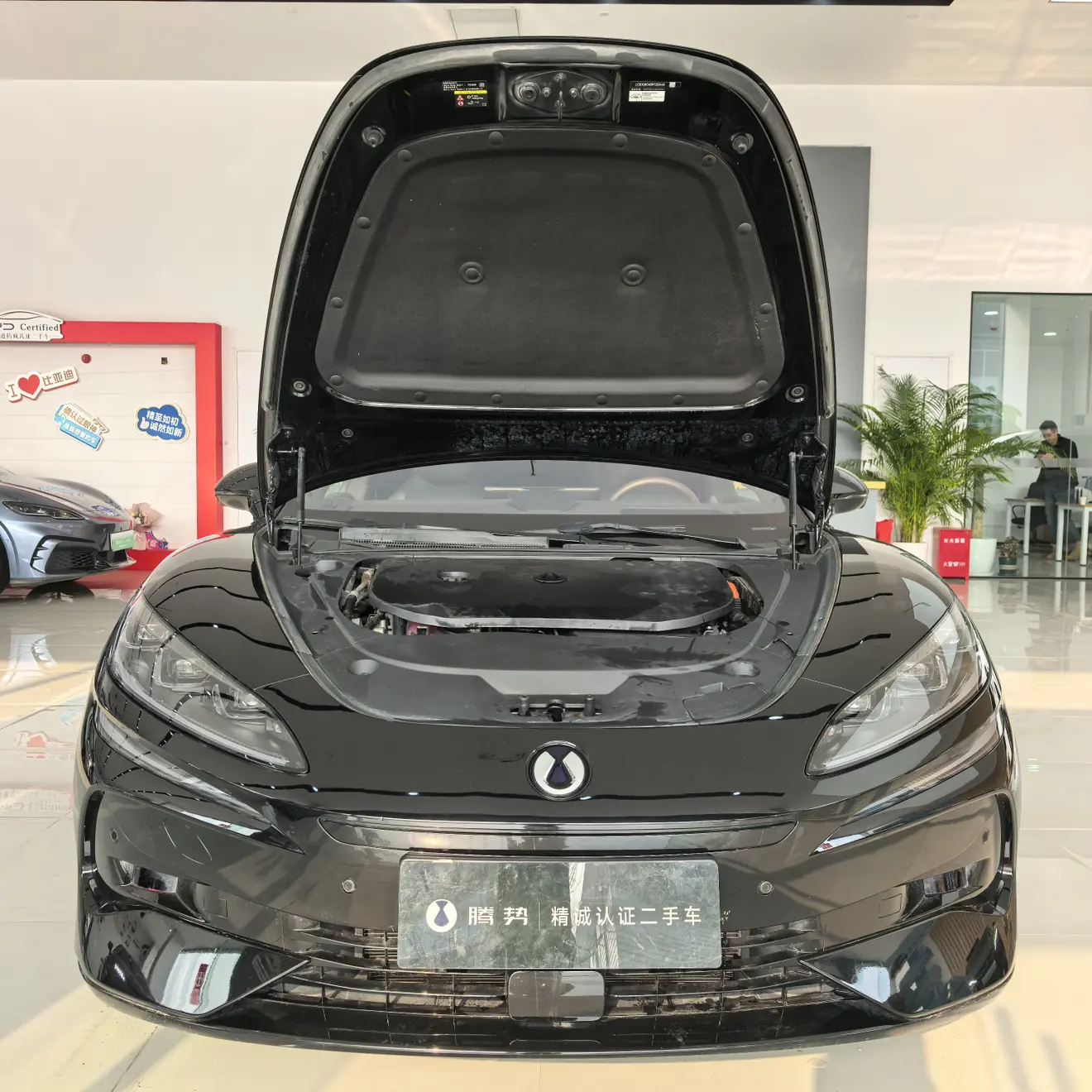 Denza Tengzhong Z9 DM  из Китая