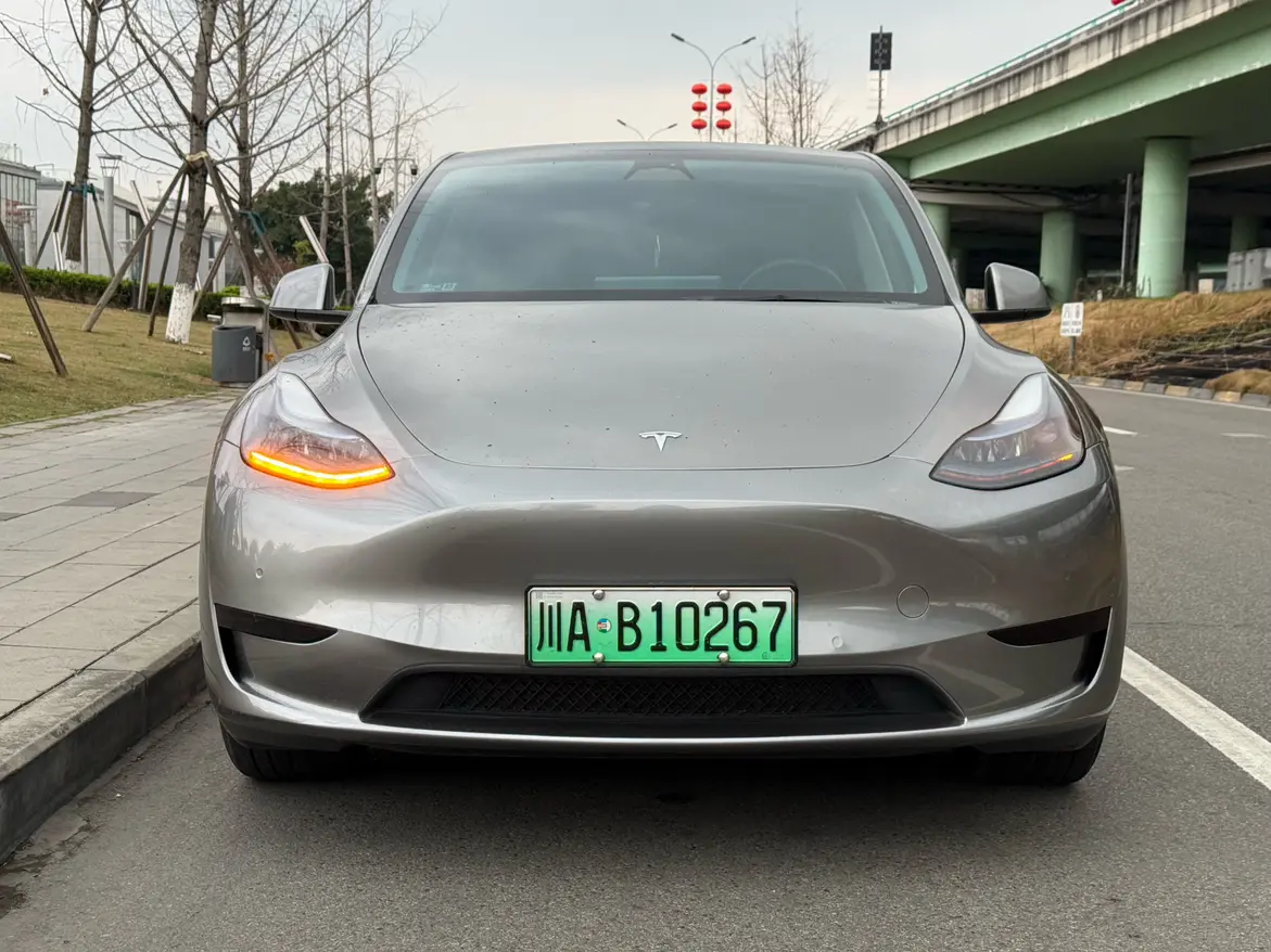 Tesla Model Y  из Китая
