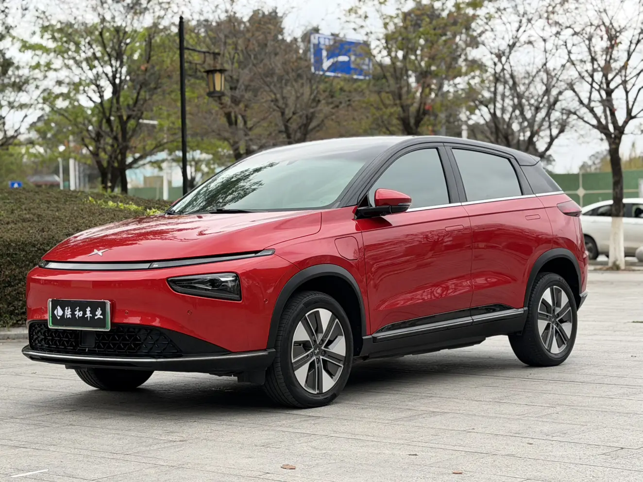 Xpeng G3  из Китая