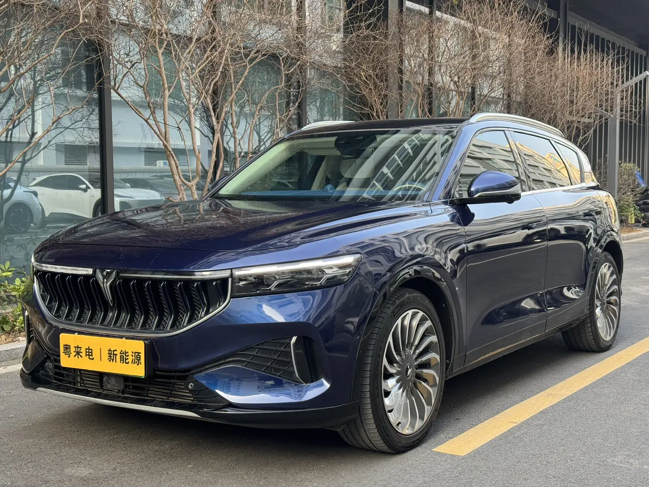 Voyah Lantu FREE  из Китая