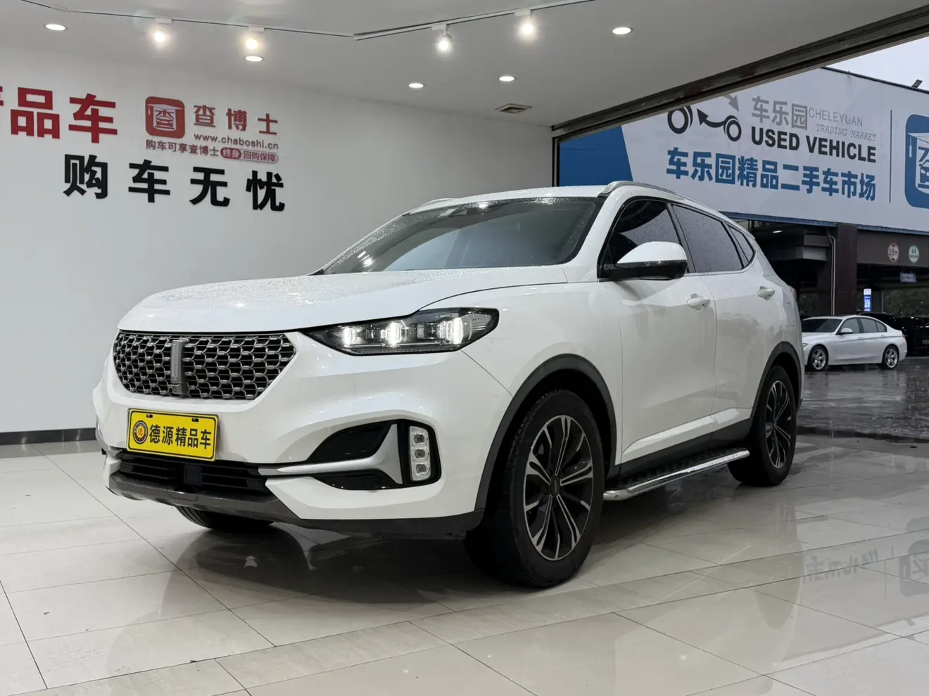 Wey Wei brand VV6