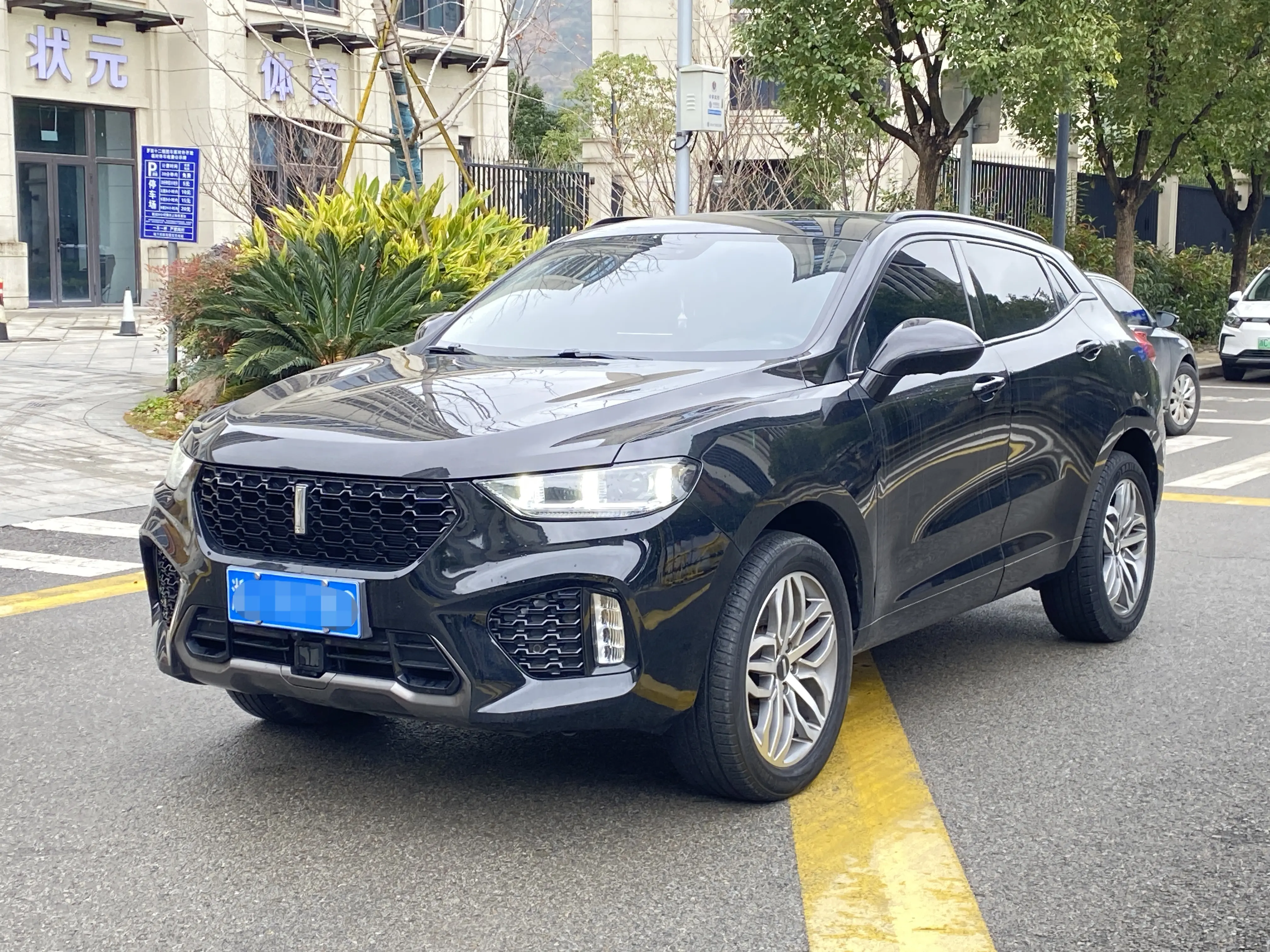 Wey Wei brand VV5