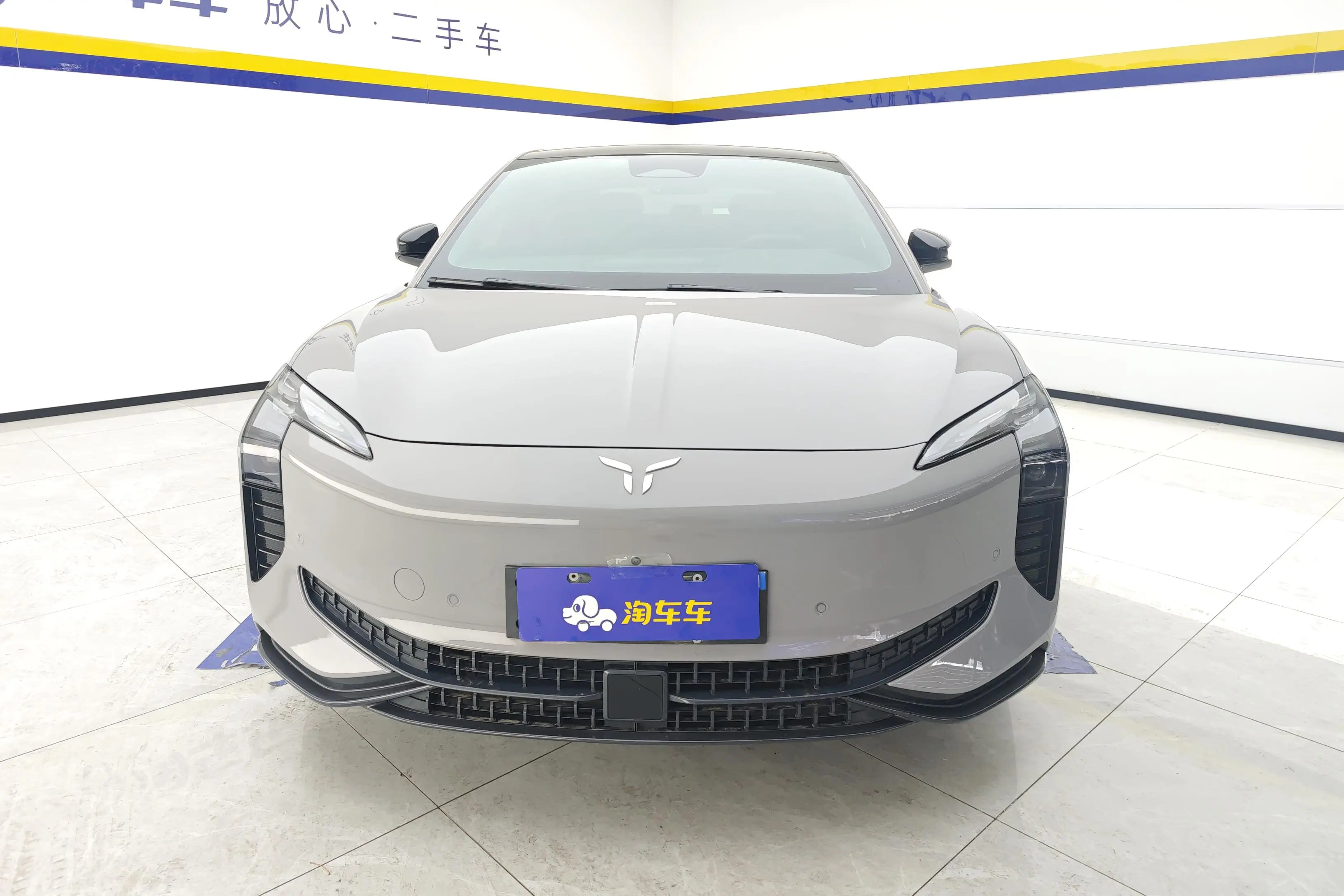 Hongqi EH7  из Китая