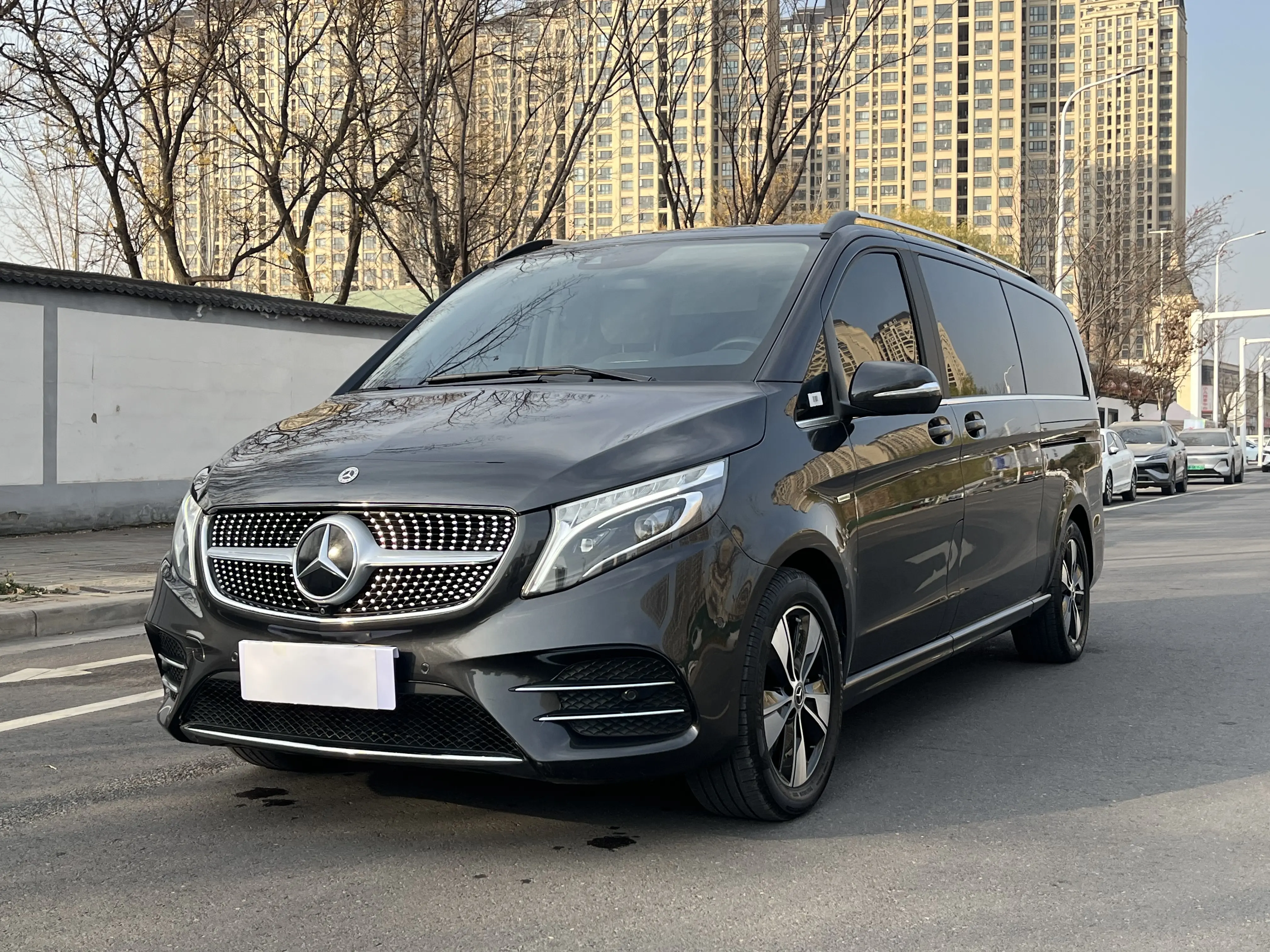 Mercedes-Benz Mercedes Benz V Class  из Китая