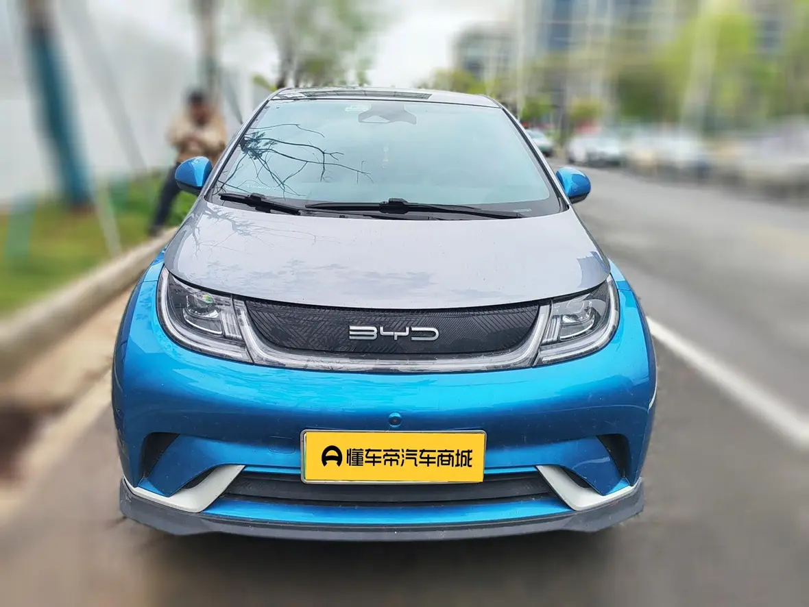 BYD Dolphin  из Китая