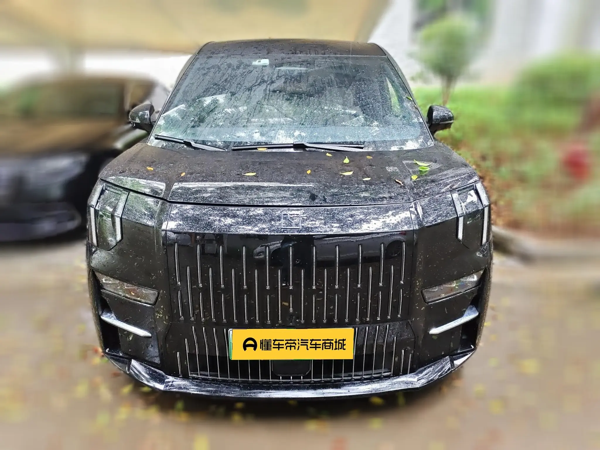 ZEEKR 009  из Китая