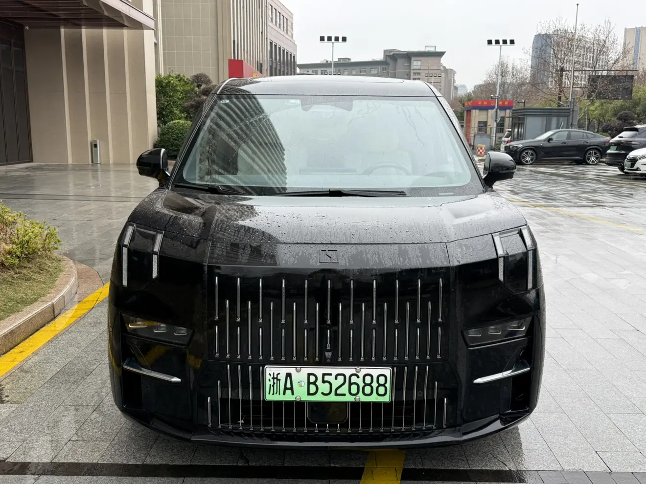 ZEEKR 009  из Китая