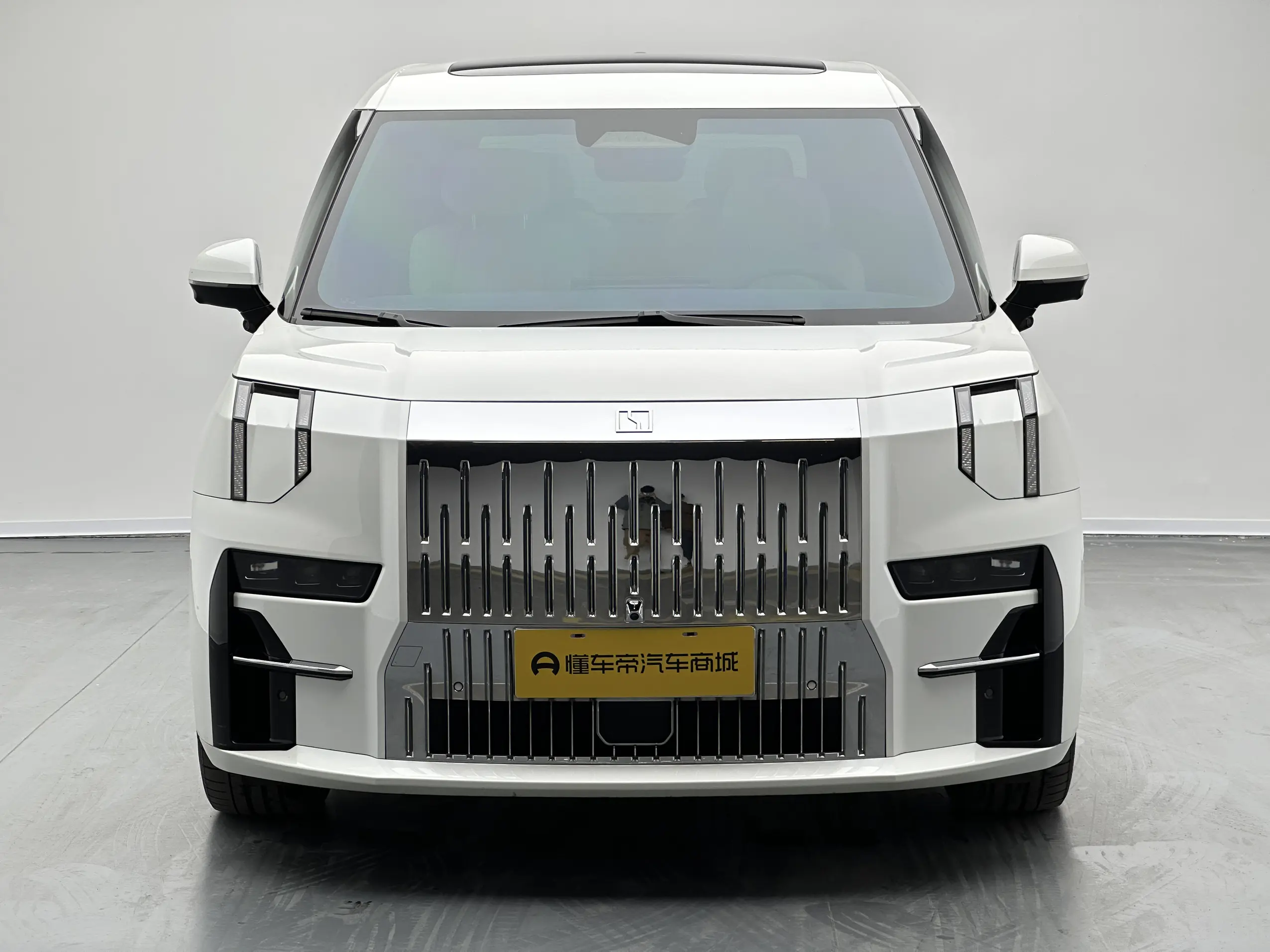 ZEEKR 009  из Китая