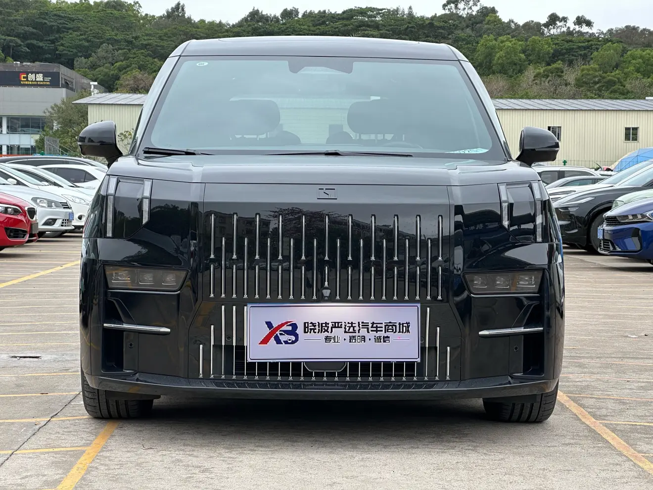 ZEEKR 009  из Китая