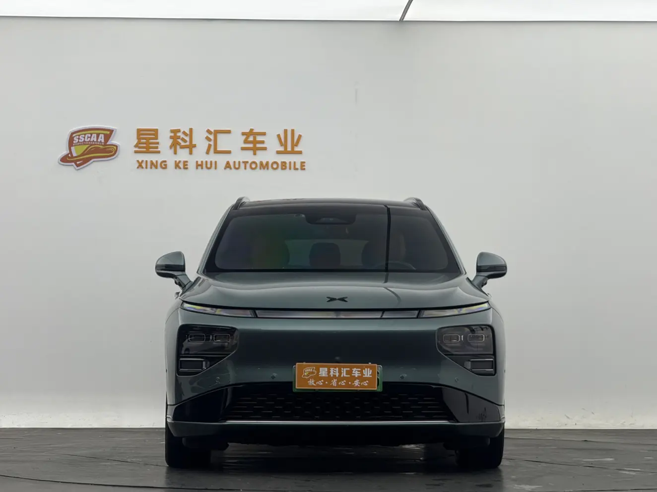 Xpeng G9  из Китая