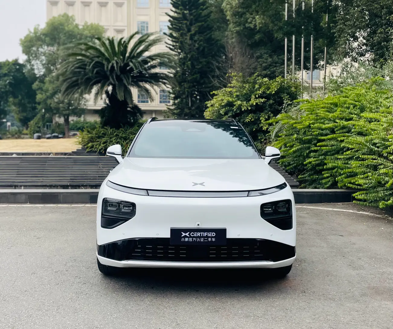 Xpeng G9  из Китая