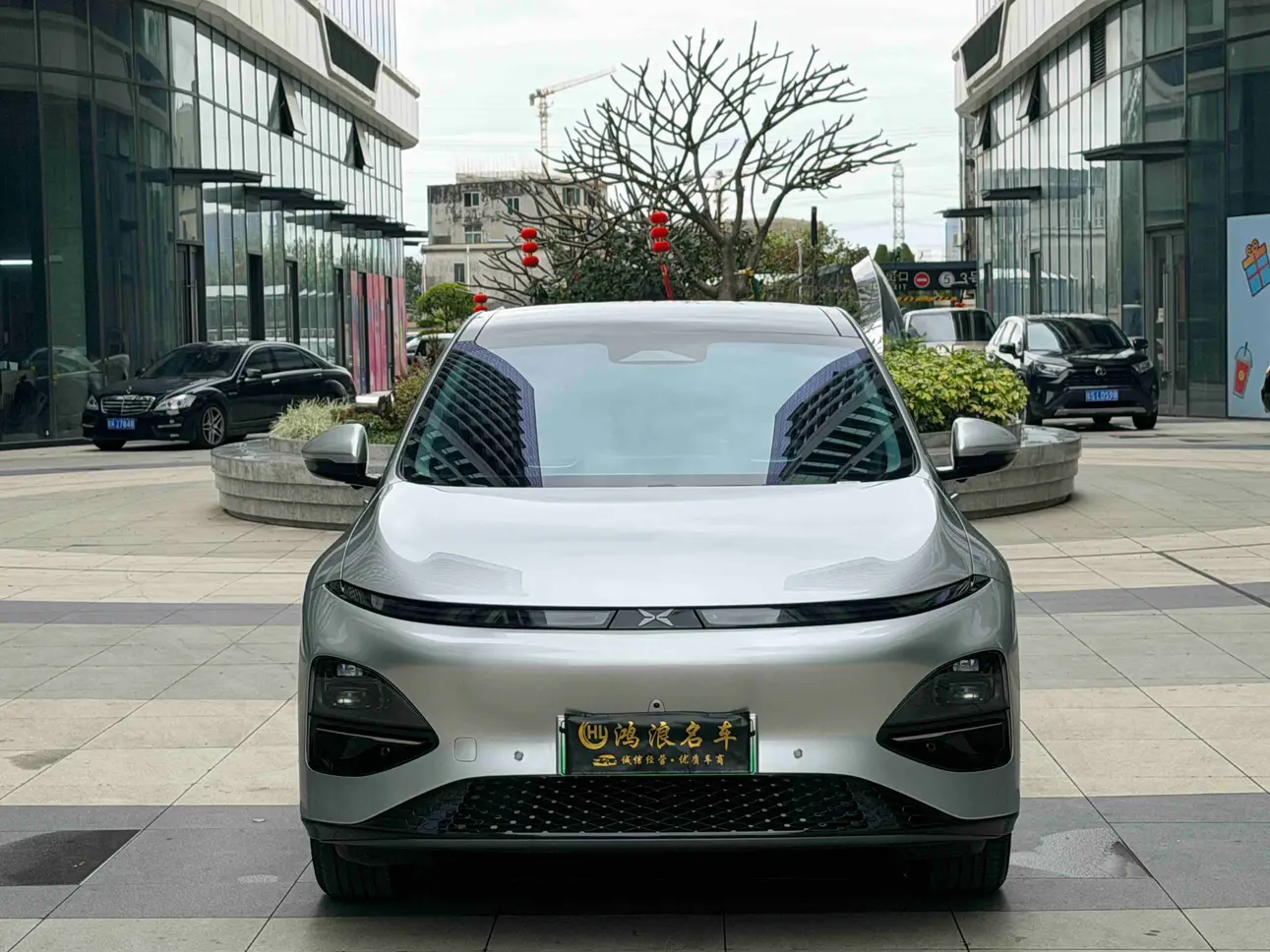 Xpeng G6  из Китая