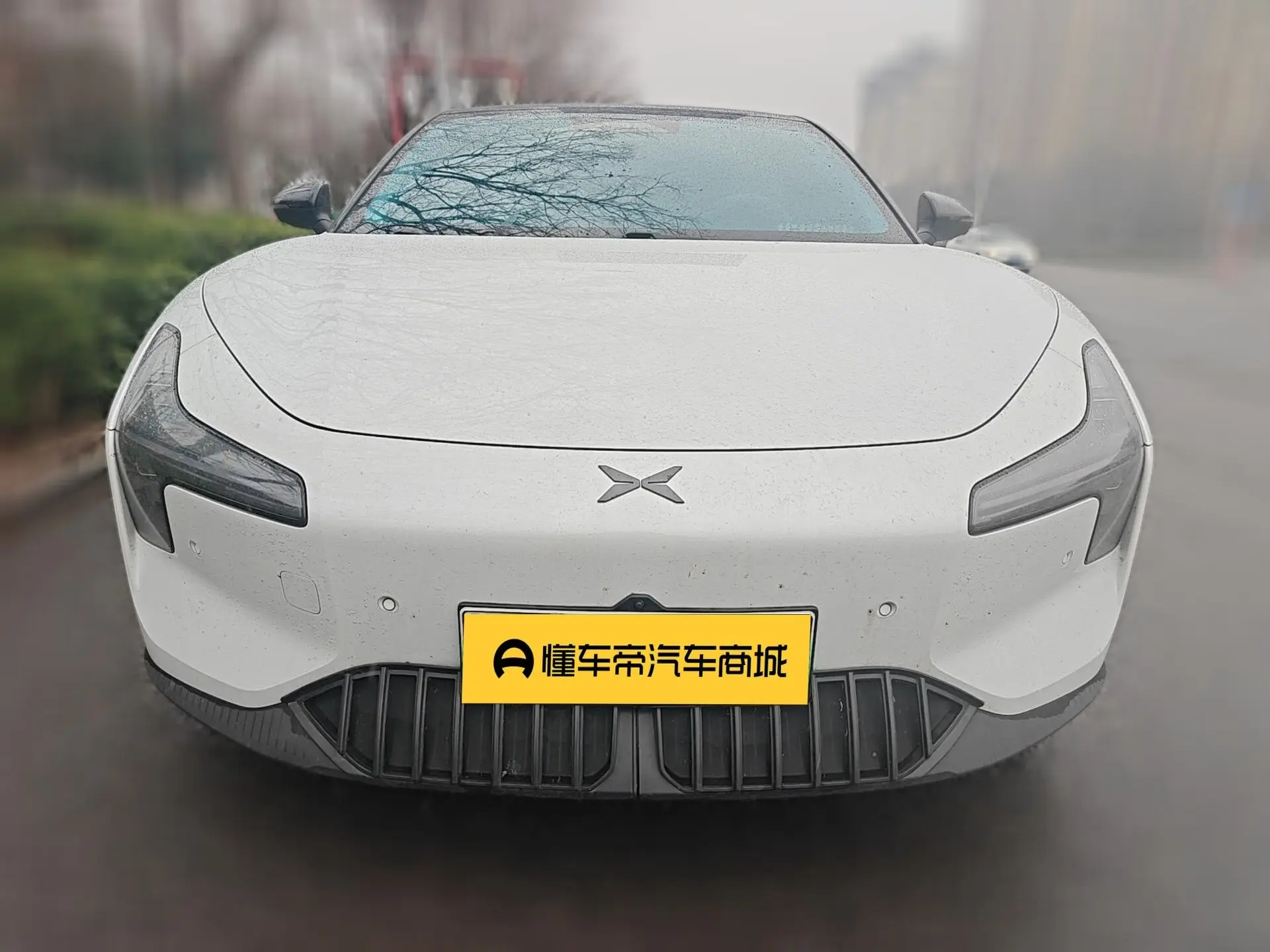 Xpeng Xiaopeng MONA M03  из Китая