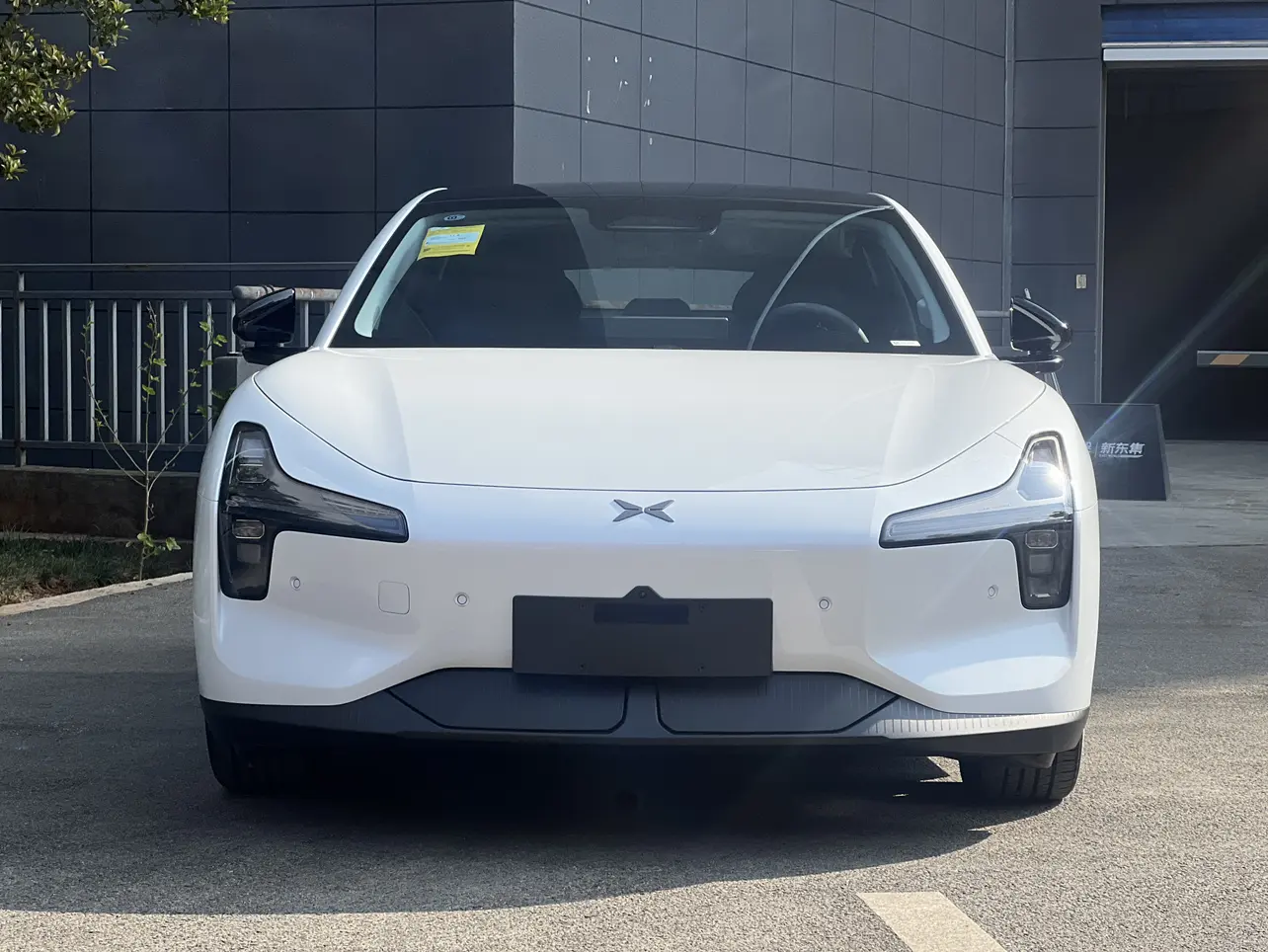 Xpeng Xiaopeng MONA M03  из Китая