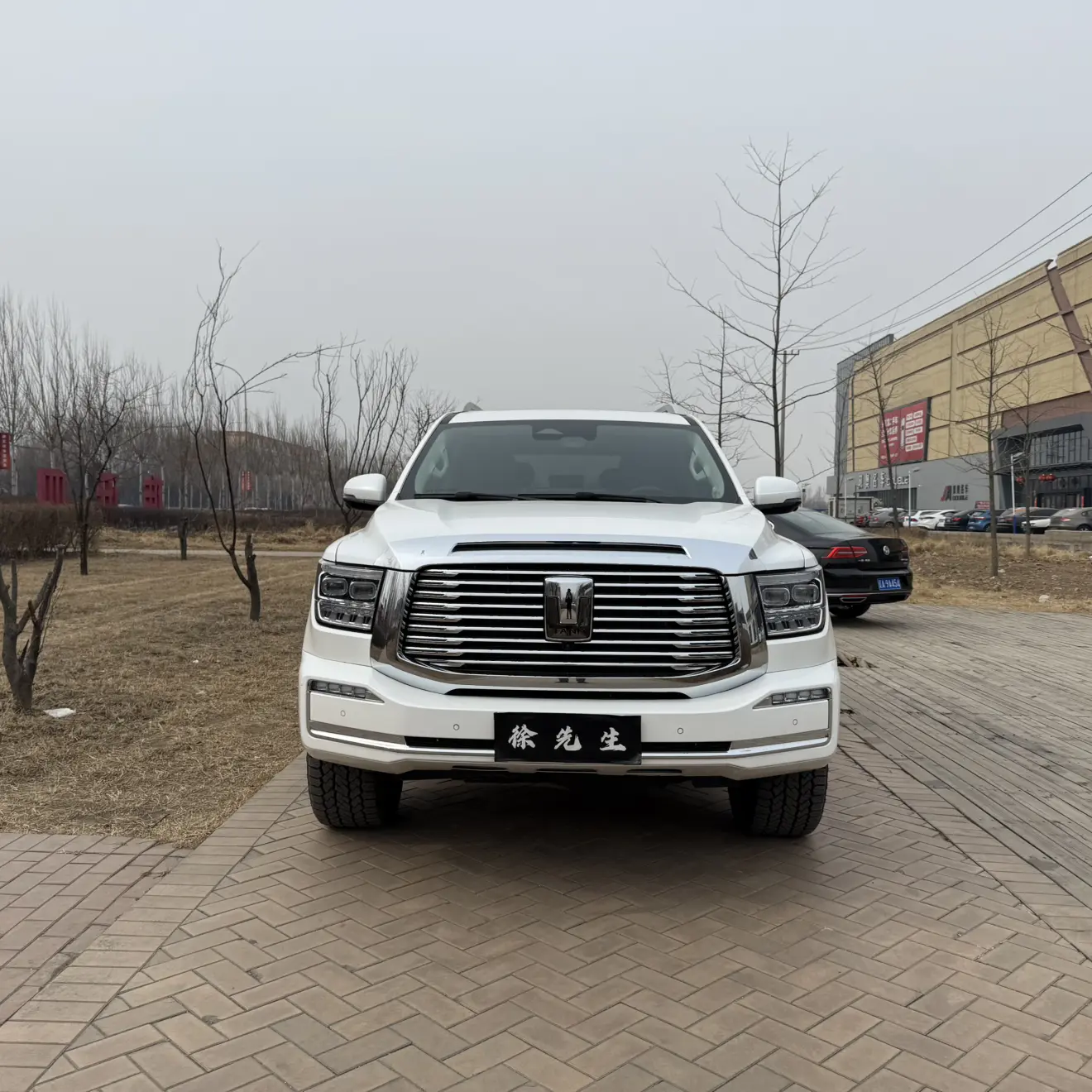 Tank 500  из Китая