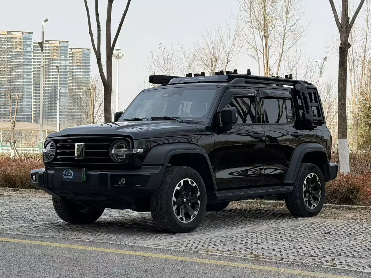 Tank 300 Hi4-T  из Китая