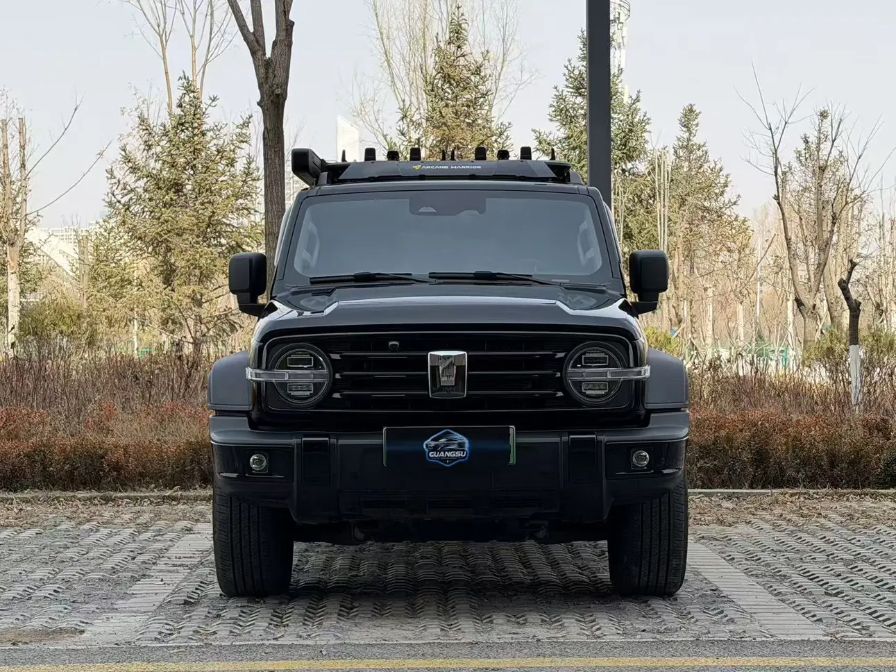 Tank 300 Hi4-T  из Китая