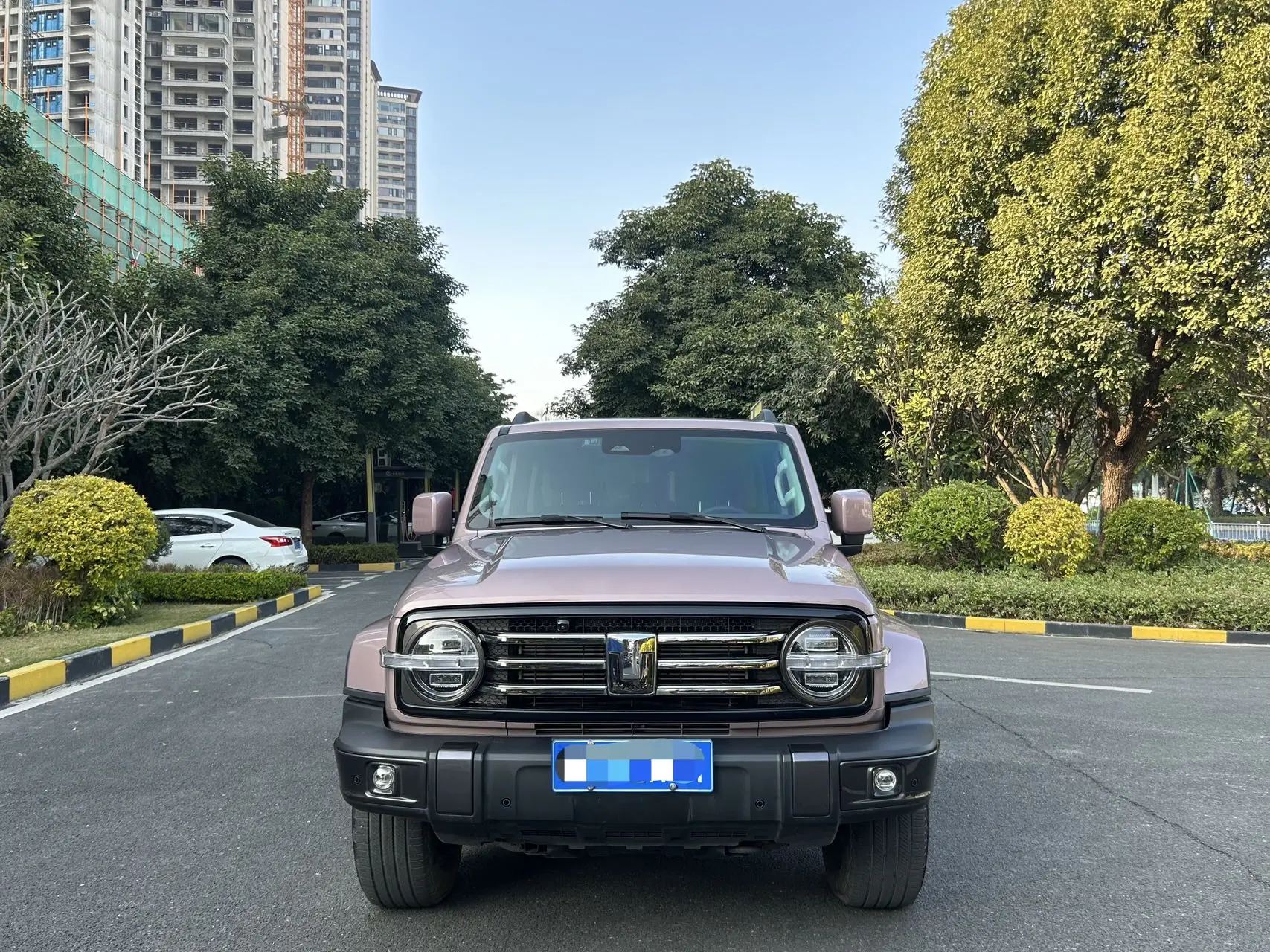 Tank 300  из Китая