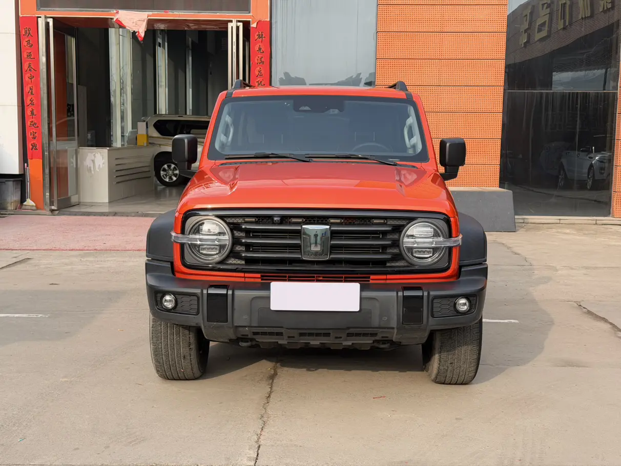 Tank 300  из Китая