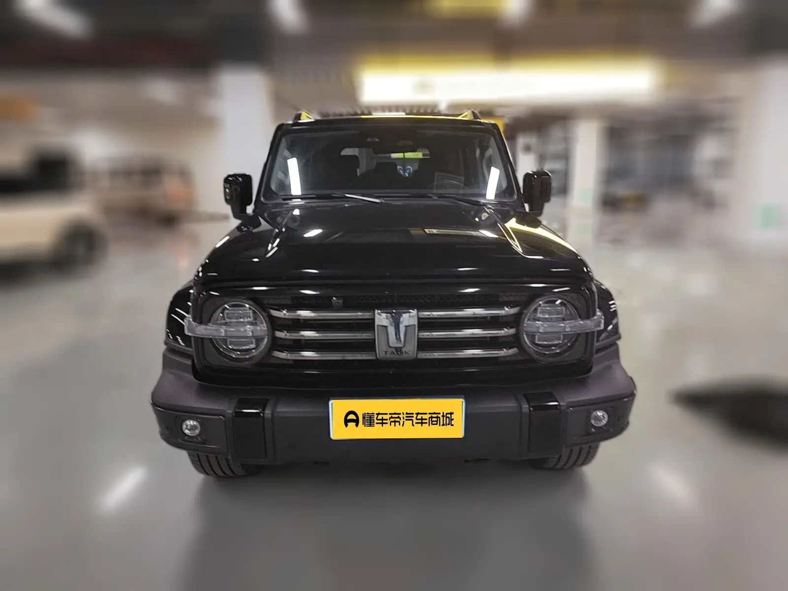 Tank 300  из Китая