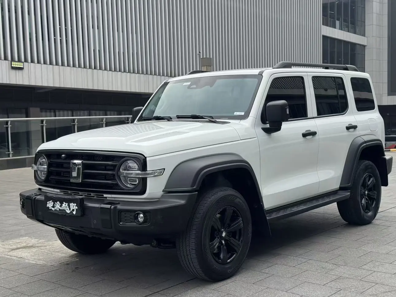 Tank 300  из Китая