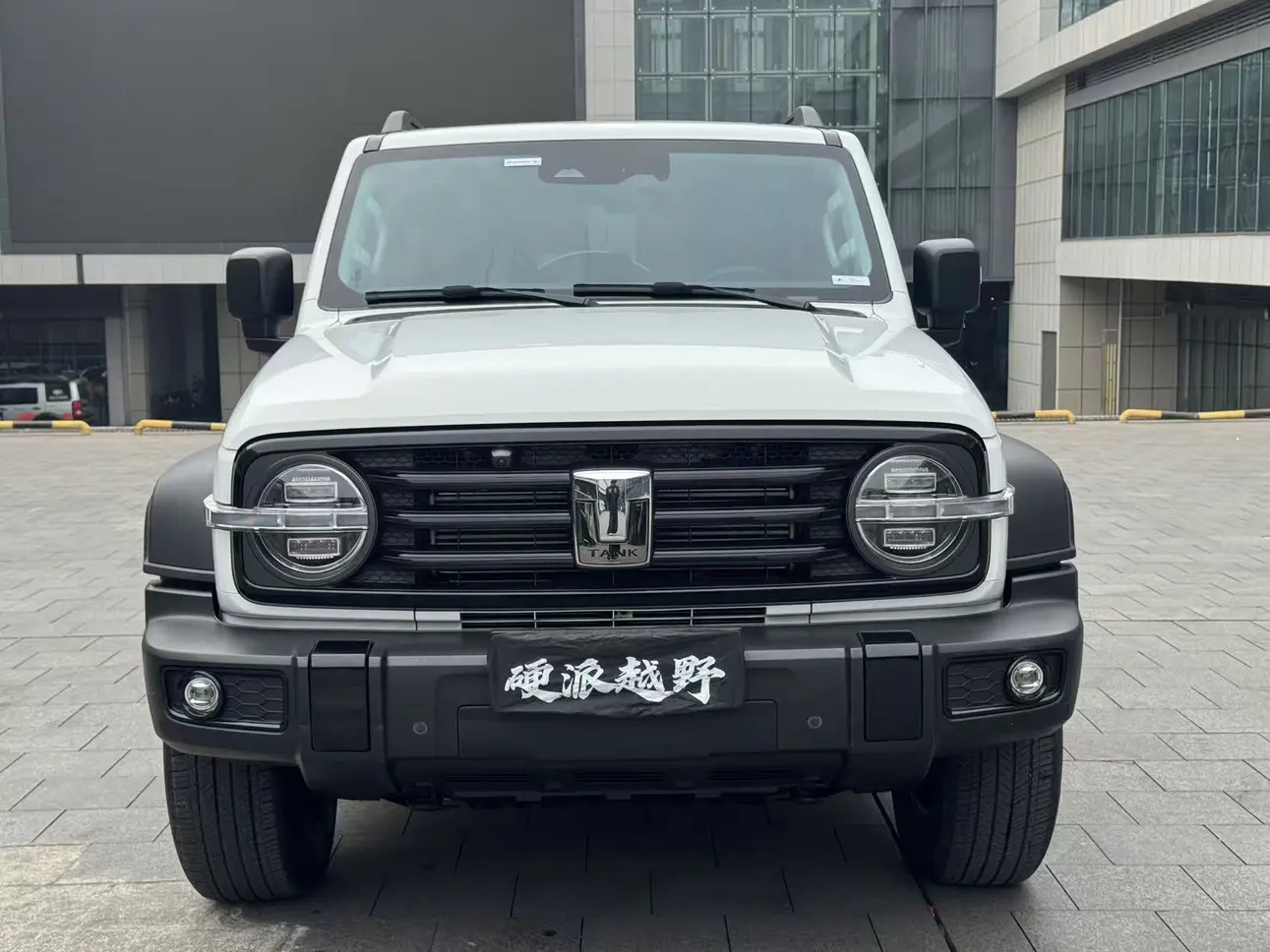 Tank 300  из Китая