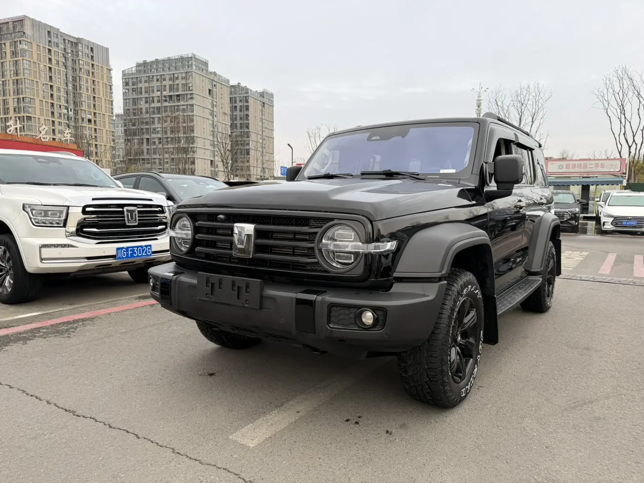 Tank 300  из Китая