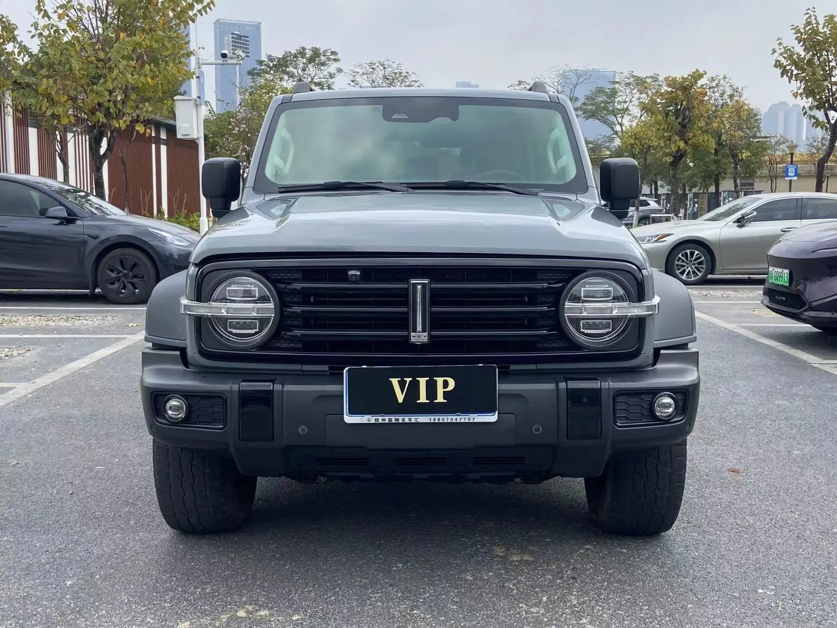 Tank 300  из Китая