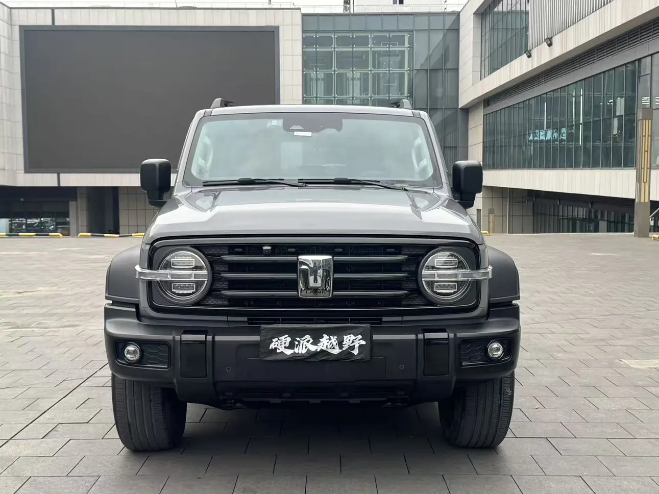 Tank 300  из Китая