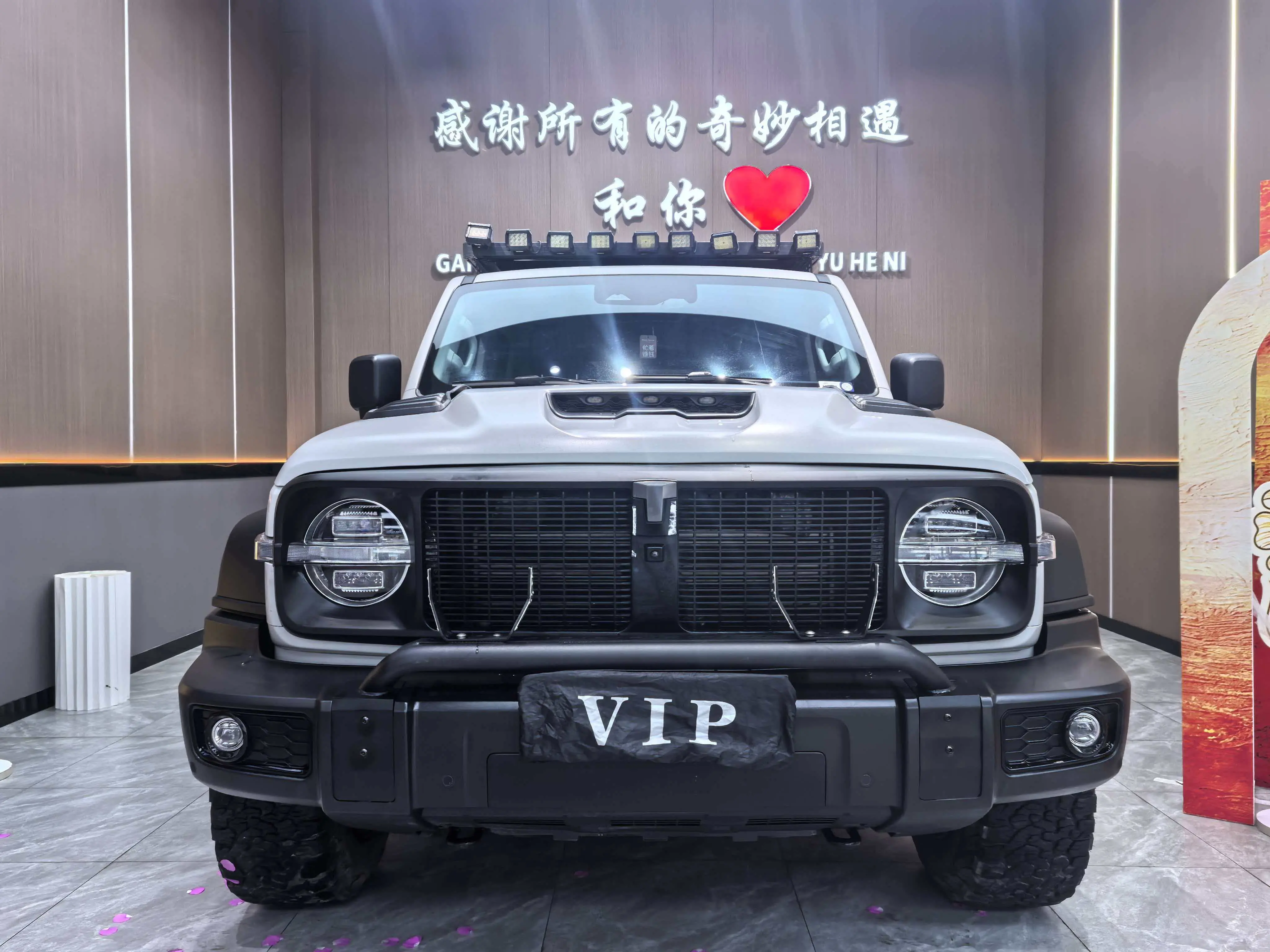 Tank 300  из Китая