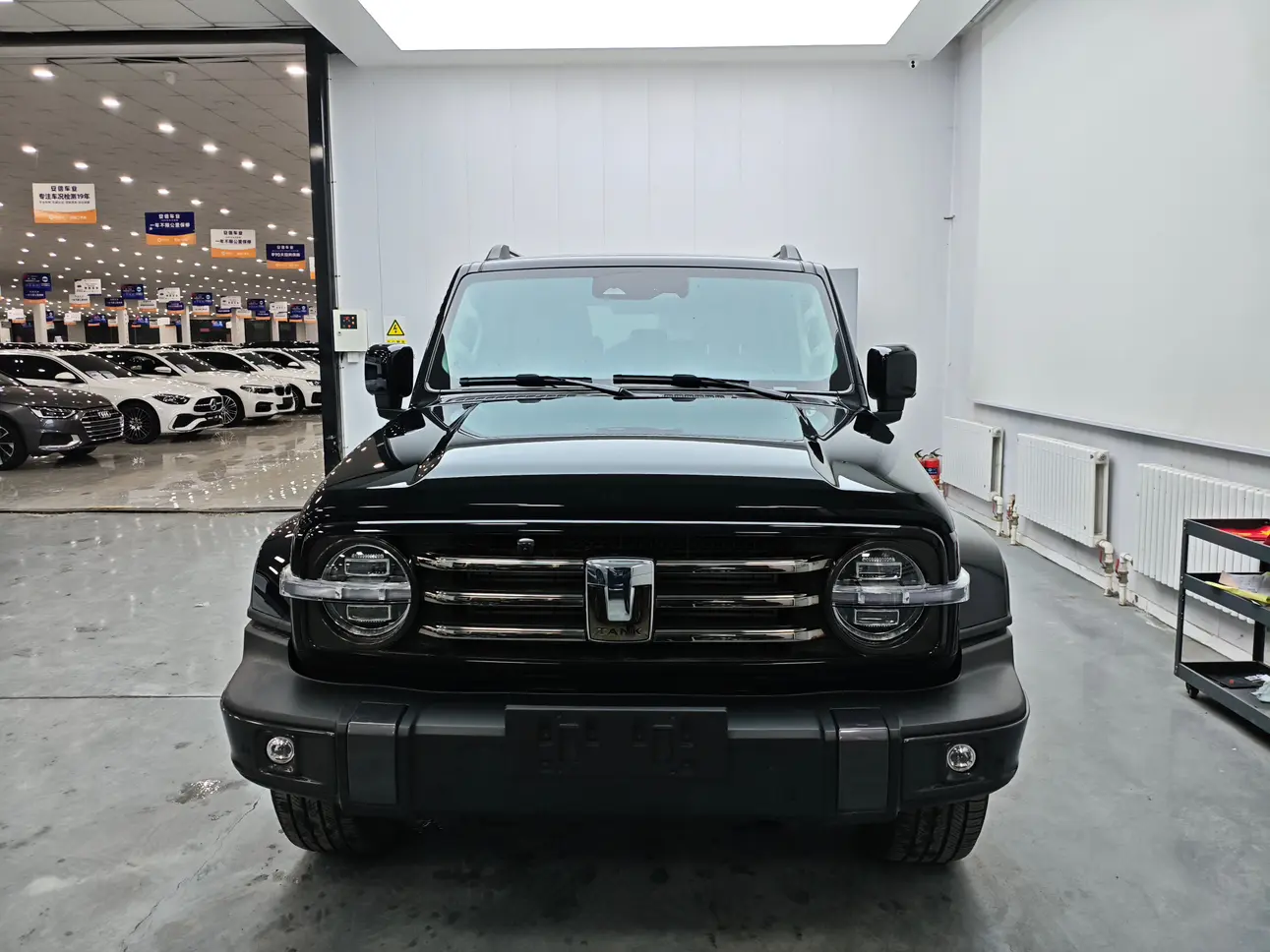 Tank 300  из Китая