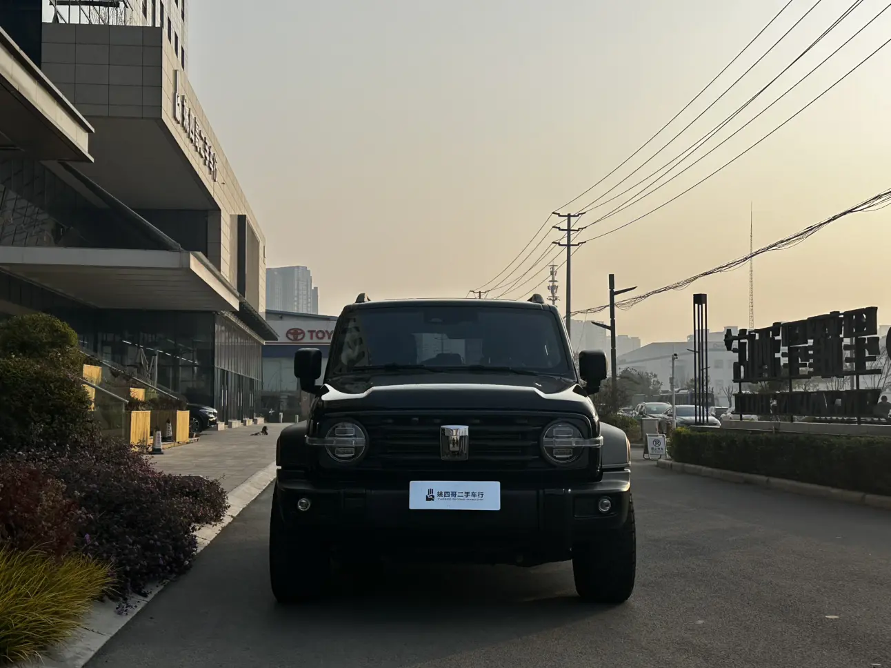 Tank 300  из Китая